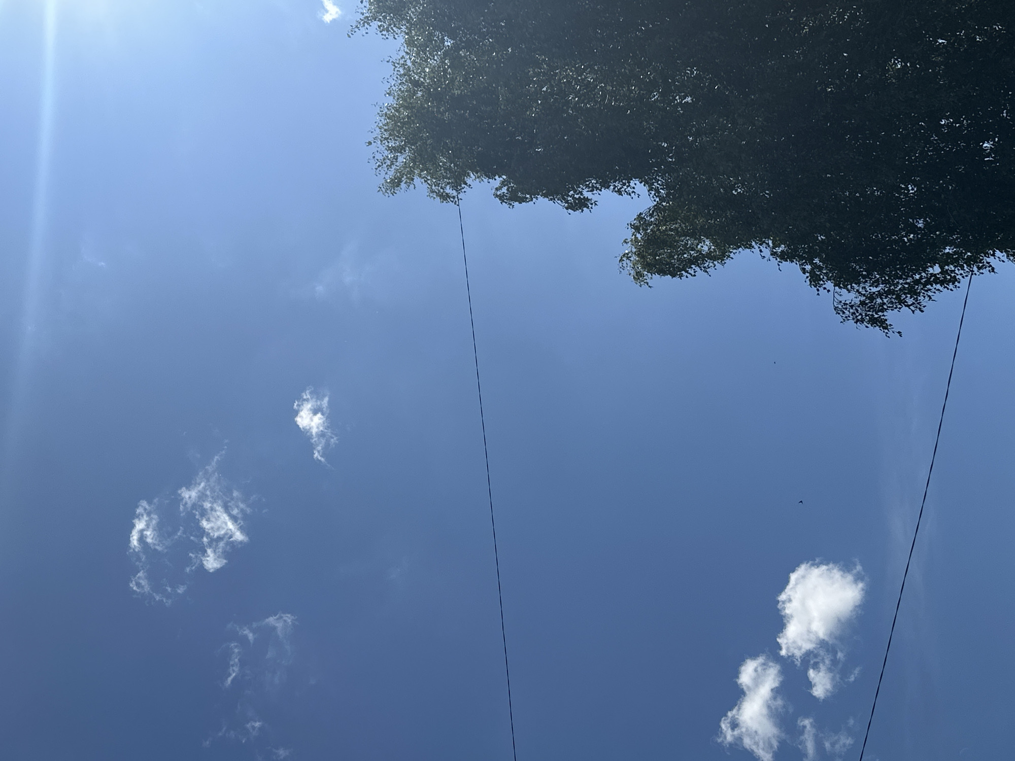 A bright, clear blue sky dominates the frame, with a few scattered white clouds. A thin, dark horizontal line, likely a wire, stretches across the mid-ground. On the right side, a dark green, leafy tree extends upwards, its branches partially obscuring the sky. The upper right corner of the image shows a bright sun glare, indicating a sunny day. The scene appears to be outdoors, with no people visible. The location is the city of Plesetsk, Russia.