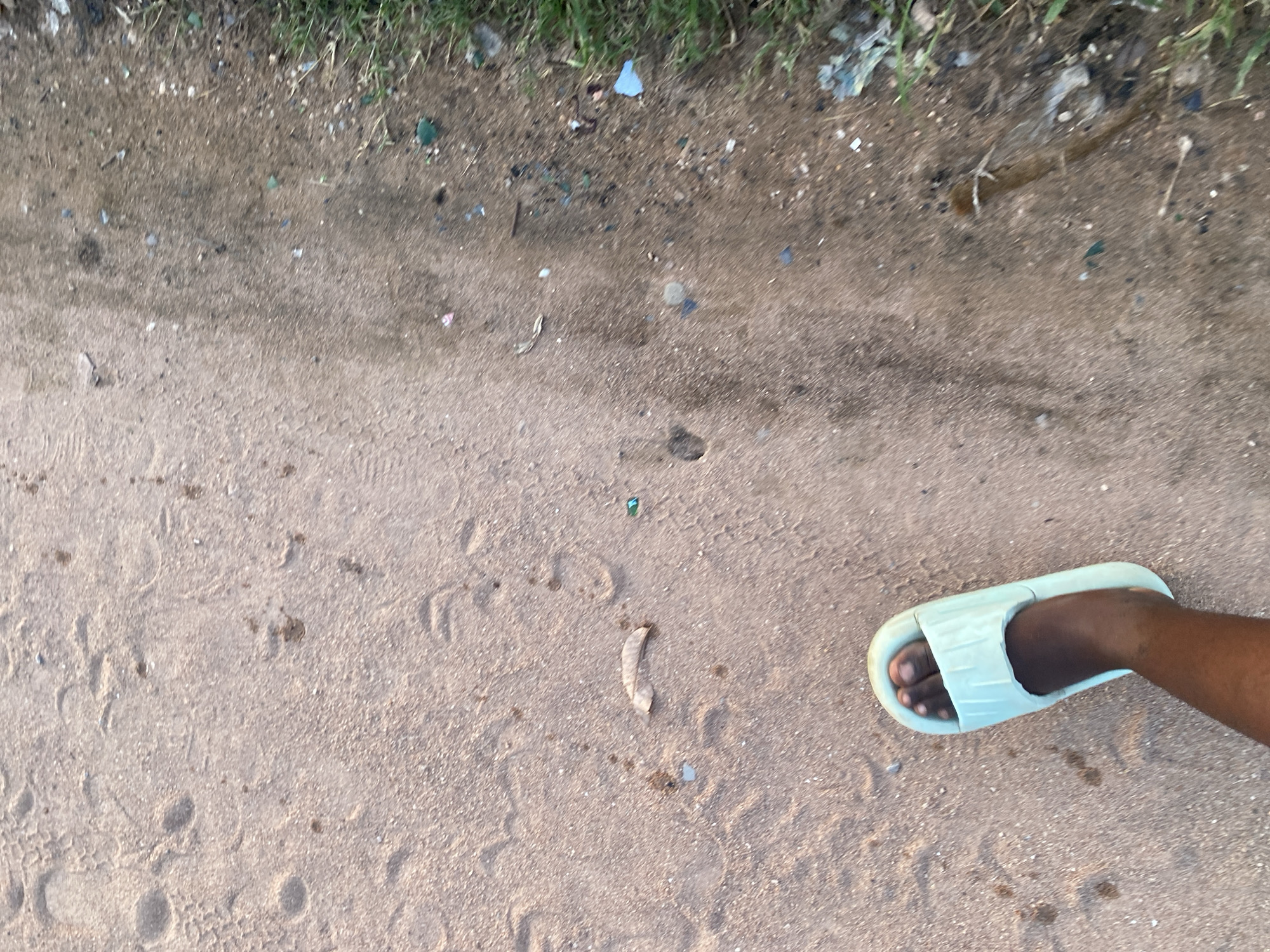 The image depicts a close-up, high-angle view of a person's left foot wearing a light blue slide sandal, placed on a dusty, sandy ground. The ground shows numerous footprints, suggesting a well-traveled path. Scattered on the ground are small pieces of debris, including what appears to be dry leaves and possibly some litter such as fragments of plastic. To the right side of the frame, a strip of green grass runs along the edge of the path, indicating a transition to a more vegetated area. The overall scene is consistent with an outdoor environment in Jauro Yinu, Nigeria.