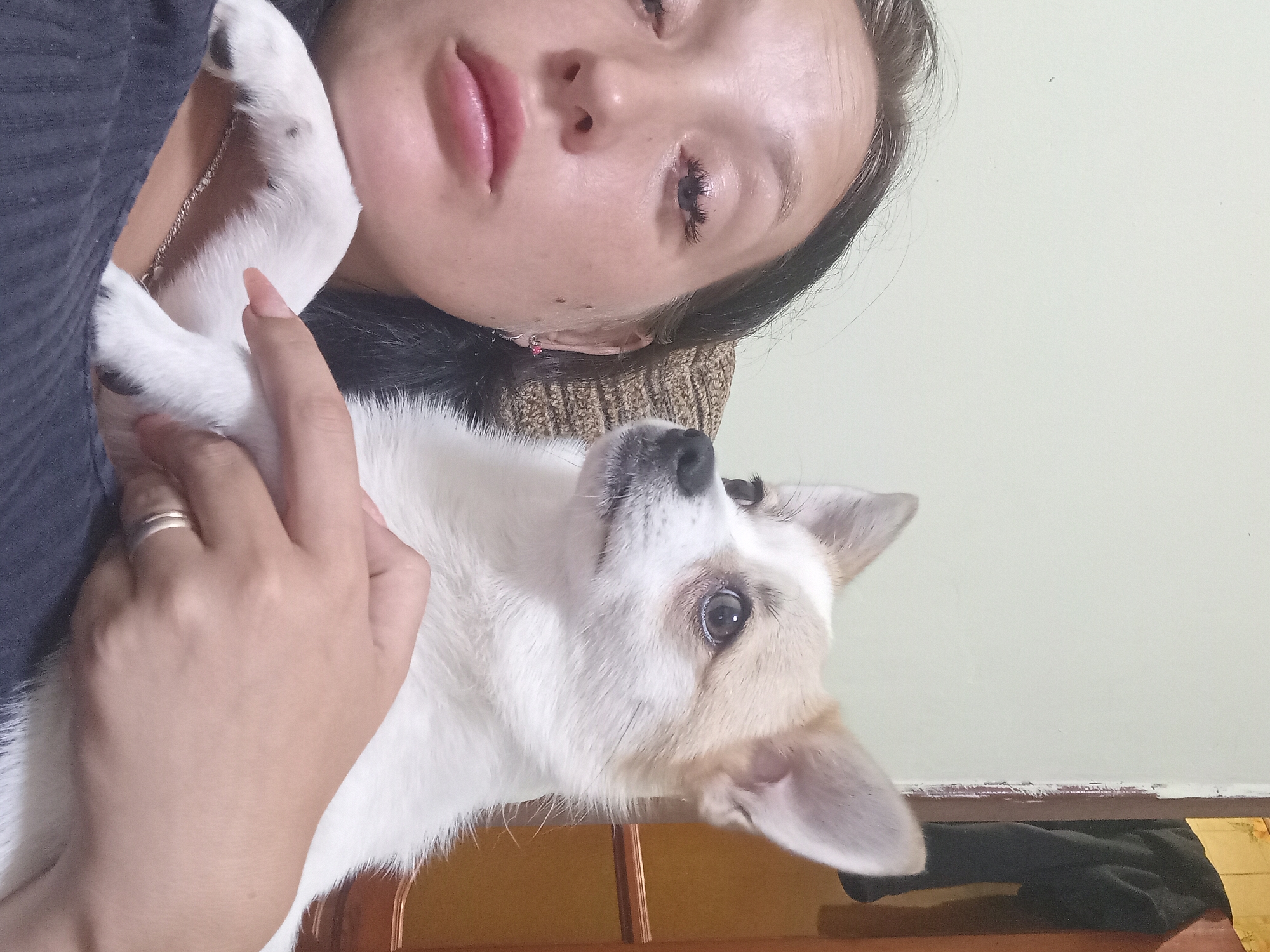 The image captures a close-up, selfie-style shot of a young woman holding a small dog. The woman's face is in the foreground, positioned on the left side of the frame, with her eyes looking slightly off-camera to the right. She has dark hair that frames her face, and she is wearing makeup, including visible mascara. Her lips are slightly parted, and her expression appears neutral or pensive.
The dog, a small breed with white and light brown fur, is held in her arms, partially obscuring her chest. The dog's head is turned to the right, looking away from the camera with large, dark eyes. Its ears are erect and pointed. One of the dog's front paws is resting on the woman's arm. A silver ring is visible on the woman's left hand. She is wearing a dark-colored, possibly knitted, garment. A delicate silver chain necklace is also visible around her neck.
The background is dimly lit. To the left, a plain, light-colored wall is visible. To the right, there is a glimpse of a wooden door or furniture, with a dark fabric item hanging on it. The setting appears to be indoors.
No specific location within the city of Chuhuiv, Ukraine, can be determined from the provided image.