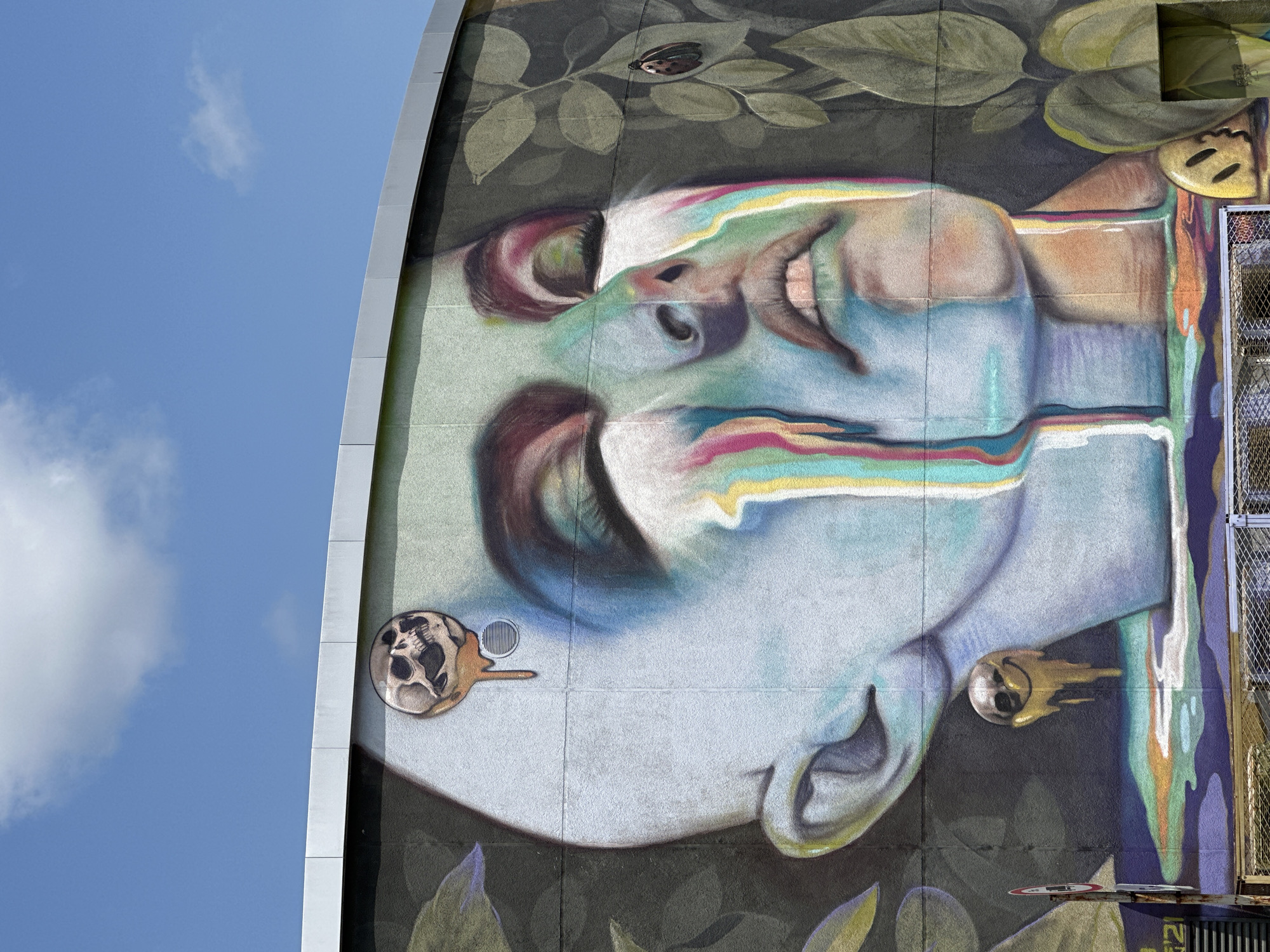 This image captures a vibrant, large-scale mural painted on the side of a modern building in Veliko Tarnovo, Bulgaria. The mural, oriented vertically in the photograph, features a stylized, semi-abstract human face, likely female, turned to the side and looking upwards. The face has prominent eyes with dark, reddish eyelids and a wide, smiling mouth with visible teeth. Streaks of bright, rainbow-like colors emanate from the eyes and mouth, dripping downwards in a fluid, surreal manner. The skin tone of the face is predominantly light blue and white, with accents of pink and purple.
Above the face, within the mural, green leaves are depicted against a darker background, with a small, dark insect, possibly a ladybug or beetle, resting on one of the leaves. Several small, circular, skull-like objects with a metallic, dripping appearance are integrated into the artwork around the face; one appears to be a melting skull earring, another a more defined melting skull near the chin, and a third, smiling skull near the ear.
The building itself features a curved, silver-grey architectural element on the left side of the image, separating the mural from the clear blue sky, which contains a few scattered white clouds. This indicates a daytime setting with bright, clear weather. The mural is painted directly onto the building's facade, with visible seams from the underlying panels. No discernible text is visible. The overall scene presents a captivating piece of street art, blending human emotion with surreal and symbolic elements.