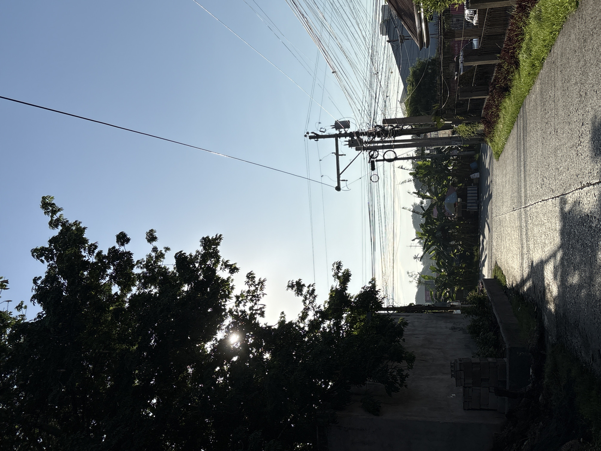 The image depicts a street scene in Davao City, Philippines, bathed in the morning sunlight. On the left, a large tree with dark green foliage partially obscures the sun, creating dappled light patterns on the concrete wall and the road. The wall appears to be made of rough, textured concrete, with a stack of concrete blocks and some greenery in front of it.
The street itself is paved with concrete and shows signs of wear. A drainage ditch runs along the left side of the road. Ahead, the street curves slightly, lined with banana trees and other lush vegetation, suggesting a tropical environment.
Utility poles with a dense network of electrical wires dominate the right side of the frame, indicating a residential or mixed-use area. A black metal fence runs along the right edge of the road, bordering a property with some grass and plants. The sky is a clear, bright blue, with no clouds visible. The overall impression is one of a typical morning in a tropical city, with a blend of natural and man-made elements.