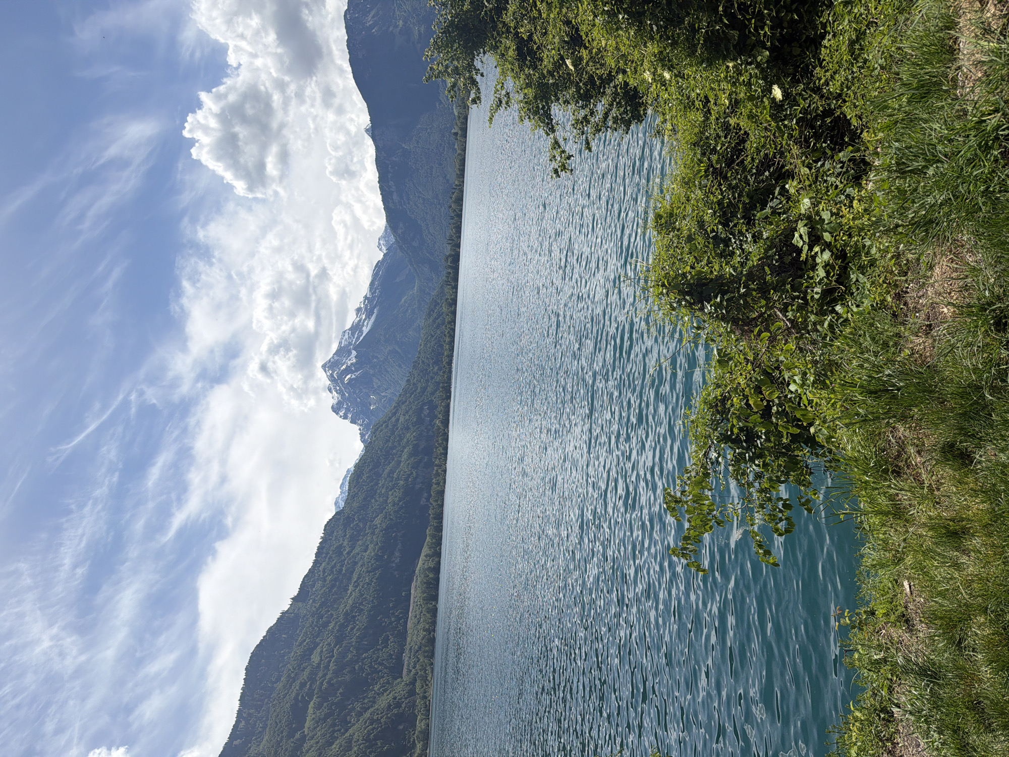 The image depicts a serene lake scene, likely in Betlis, Switzerland, given the presence of mountainous terrain and a body of water. The lake, occupying a large portion of the frame, exhibits a rippled surface with a blue-green hue. Lush green vegetation, including grass and foliage, lines the right edge of the lake. On the left, the terrain rises sharply, forming a mountain slope covered in dense trees. Further in the background, towering mountains are visible, with snow-capped peaks reaching towards a sky dotted with white clouds.