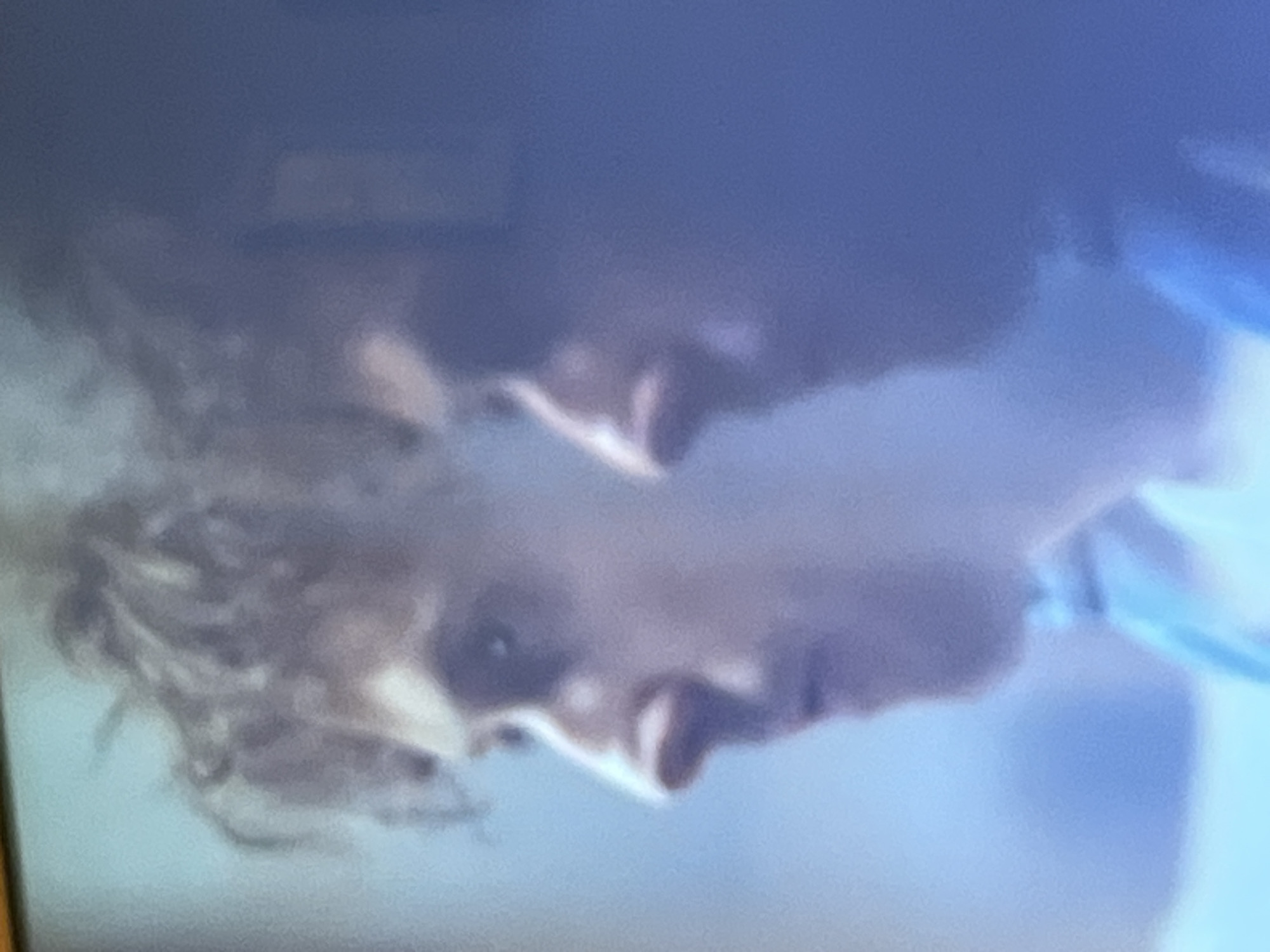 Two young men are shown in profile, facing left. The man in the foreground has curly, light brown hair and is wearing a light blue shirt. His nose is prominent and his lips are slightly parted. The man behind him is partially obscured, but appears to have darker hair and is wearing a darker blue shirt. The background is a blurry expanse of light blue and gray. The lighting is dim and diffused, creating a soft focus effect. The overall impression is one of intimacy and closeness, with the two men appearing to be engaged in a quiet conversation or moment of reflection.