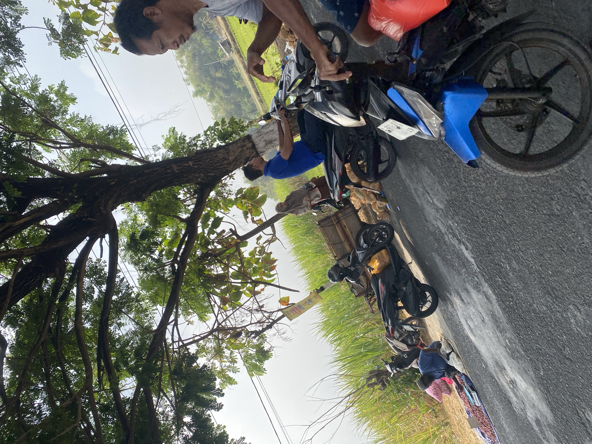 In Sempol, Indonesia, on a paved road lined with tall green reeds and a large tree, three men are on motorcycles. One man in a blue shirt is riding a black motorcycle, his hands on the handlebars. Another man, partially visible in the foreground, is also on a motorcycle, his hand near the handlebars. A third man, looking to the right, is seated on a motorcycle in the background. To the left, a vendor is arranging goods, possibly produce, on a blue tarp on the side of the road. Several motorcycles are parked nearby, and a cart is attached to one of them. The sky is overcast, and the overall scene suggests a roadside market or gathering.