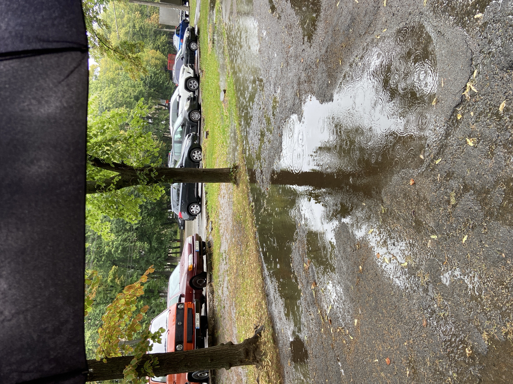The image depicts an outdoor scene under an umbrella, suggesting it is raining. The foreground shows a wet asphalt surface with several puddles reflecting the overcast sky and surrounding trees. The puddles have ripples from falling raindrops, indicating ongoing precipitation. Scattered dry leaves are visible on the wet ground.
In the background, a line of parked cars is present, including a red van on the left, followed by a maroon sedan, and several other vehicles further down the line. Beyond the cars, a dense line of trees with green and some autumnal foliage forms a backdrop. The scene appears to be a street or parking area in a residential or urban setting. The specific location is identified as Nyzhni Mlyny, Ukraine. There are no people visible in the image.