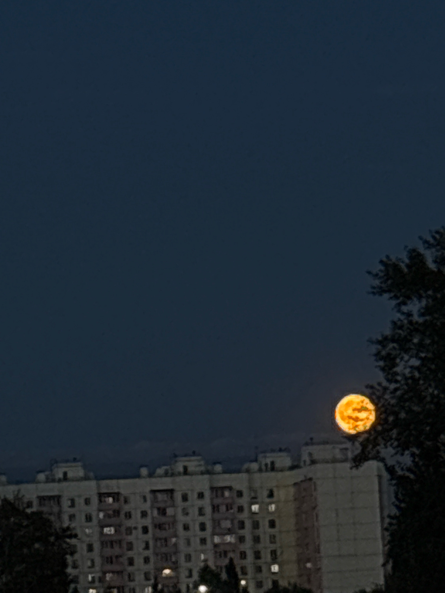 In Omsk, Russia, at night, a large, orange-hued full moon is visible in the dark sky above a multi-story apartment building. The building appears to be a Soviet-era panel building, characterized by its uniform windows and architectural style. Some windows on the building are illuminated, suggesting occupancy. A tree with dark foliage is partially obscuring the right side of the frame, with its branches reaching towards the moon. The sky is a deep, uniform blue, indicative of twilight or nighttime conditions. No people are visible in the image.