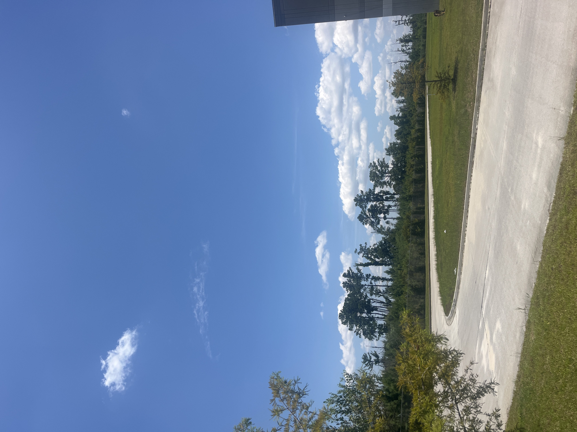 A bright, sunny day is depicted in this image, which appears to be taken in Pooler, Georgia, United States of America. The sky is a vibrant blue, with a few scattered white clouds. A paved road curves through the foreground, bordered by green grass. Beyond the road, a line of tall pine trees stands against the horizon, with a dense forest behind them. A modern, dark-colored building is visible on the far right of the frame, its angular structure contrasting with the natural landscape. In the middle ground, a small, solitary tree grows in the grassy area. A small, white object, possibly trash, is visible on the edge of the grass near the road. On the far right, a dog with brown and tan markings is walking on the grass. The overall scene suggests an outdoor environment, possibly on the outskirts of a city or industrial area, given the presence of the building and paved roads.