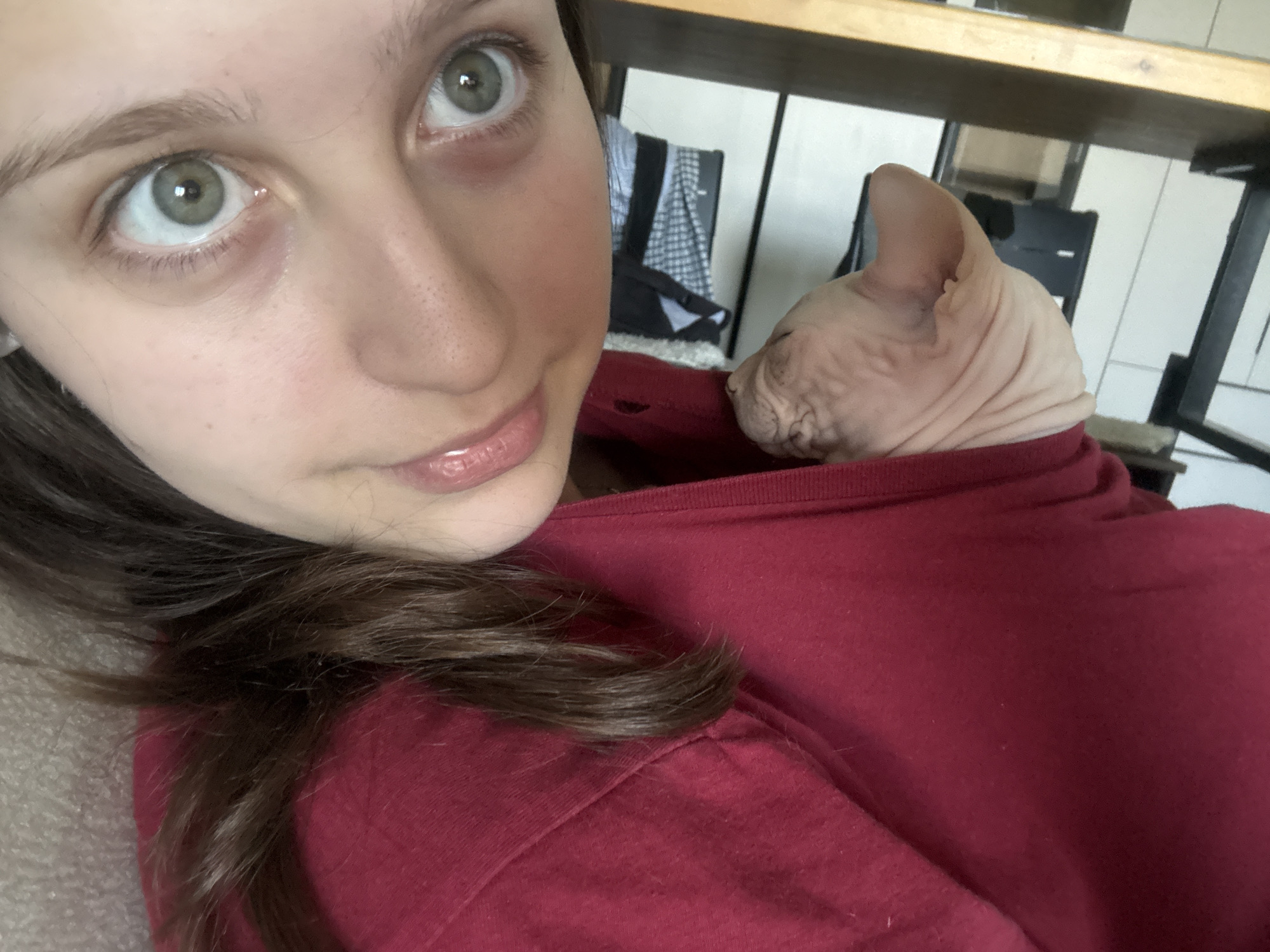 A young woman with light skin and long brown hair is taking a selfie, holding a hairless cat, likely a Sphynx, against her chest. The cat is mostly obscured, with only its head and ears visible, nestled within the fabric of the woman's dark red shirt. The woman's face is in the foreground, her green eyes looking upwards and to the left. Her lips are slightly parted, and she appears to be smiling gently. Her hair falls around her face and over her shoulder, with some strands resting on the red fabric. The background is out of focus but suggests an indoor setting with furniture, including what appears to be a wooden table or shelf and some chairs. The lighting seems natural, indicating it might be daytime. There is no visible text in the image. The overall mood is one of affection and relaxation.