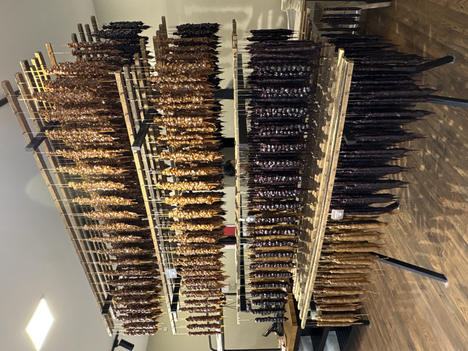 The image displays the interior of a commercial establishment, likely a specialty food store or market stall, located in Tbilisi, Georgia. The dominant feature is a multi-tiered display system composed of wooden rods and metal frames, from which hundreds of Churchkhela, a traditional Georgian confection, are suspended vertically.
The Churchkhela are long, cylindrical, and vary significantly in color, arranged in distinct groups. The upper tiers feature primarily amber and various shades of brown confections. The middle tiers present a mix of lighter browns and dark purple-black items. The lowest visible tiers display light beige-brown and dark purple-black Churchkhela. Small white price tags are affixed to some hanging strings, with one tag clearly visible displaying "PRICE 1 LB".
The environment consists of light-colored walls and a wooden floor. Square recessed lights are visible on the ceiling, illuminating the scene. A dark metal fixture or counter is partially visible on the far left, and a wooden table or stand is partially visible on the far right. The top of a person's head with dark hair is faintly visible behind the middle section of the Churchkhela display. No direct actions or interactions are actively occurring; the scene depicts a static arrangement of goods for sale.