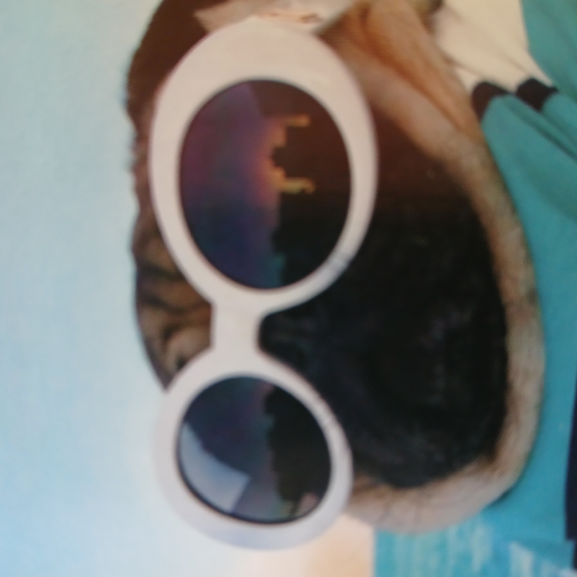 The image shows a close-up, blurry shot of a pug wearing large, white, oval sunglasses. The pug has a striped pattern on its face, typical of the breed. The sunglasses reflect an image of buildings, possibly in an urban setting, with a sky in the background. The pug is wearing a teal-colored garment, likely a shirt or sweater, with black accents on the sleeves. The overall scene appears to be outdoors, with a hint of water or sand in the lower left corner of the image, suggesting a beach or poolside setting. There is no visible indication of the location being the city of Samarsky, Russia.