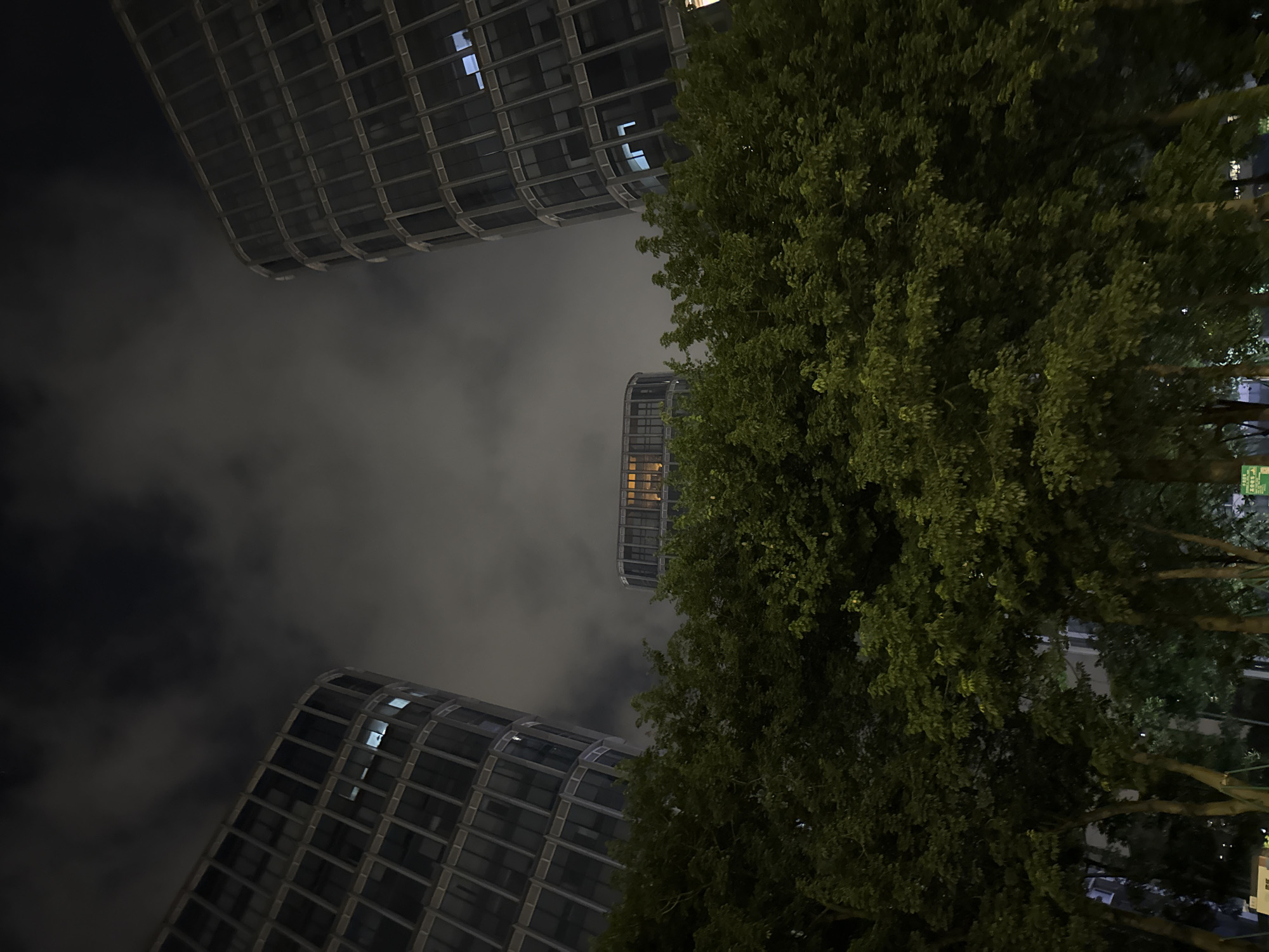 The image captures a nighttime scene of urban architecture, featuring two prominent curved glass-facade buildings framing a central, lower building. The sky above is filled with dark, cloudy formations, obscuring any stars or moonlight. In the foreground, a dense canopy of lush green trees stretches across the lower portion of the frame, their foliage illuminated by an unseen light source, casting shadows and creating a natural barrier between the viewer and the buildings. The glass windows of the buildings reflect the dark sky and some internal lights, with a few windows in the central building showing a warm, orange glow. The overall impression is one of a modern cityscape at night, with a significant presence of natural elements in the foreground. The image appears to be taken from ground level, looking upwards. The context of Haizhu District, China, is not visually discernible from the image content itself.