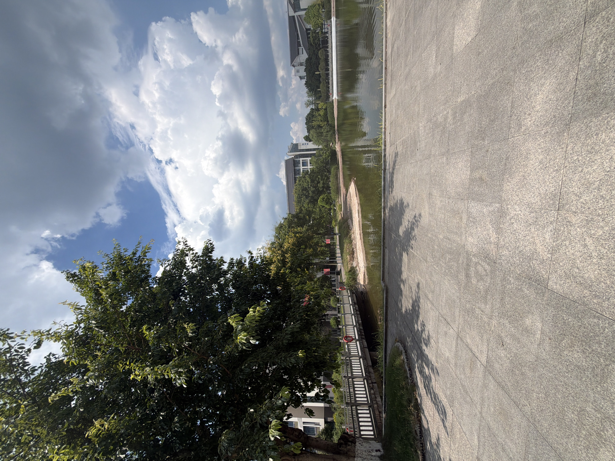 This image shows a tranquil outdoor scene in the city of Jiangjin, China. A paved walkway with a light gray, granite-like surface occupies the foreground. The walkway is bordered by green grass and a stone curb on the left.
In the middle ground, a body of water, likely a pond or lake, reflects the sky and surrounding environment. A wooden footbridge with white railings spans the water, connecting the paved area to the opposite bank. Two red life preservers are visible on the railing of the bridge.
Beyond the water, the far bank features a sandy area and a line of trees. Several modern buildings with white facades and dark roofs are situated behind the trees. The sky above is partly cloudy with dramatic white and gray formations. A large tree with dark green foliage dominates the left side of the image, casting shadows on the paved walkway. The overall impression is one of a well-maintained park or campus area.