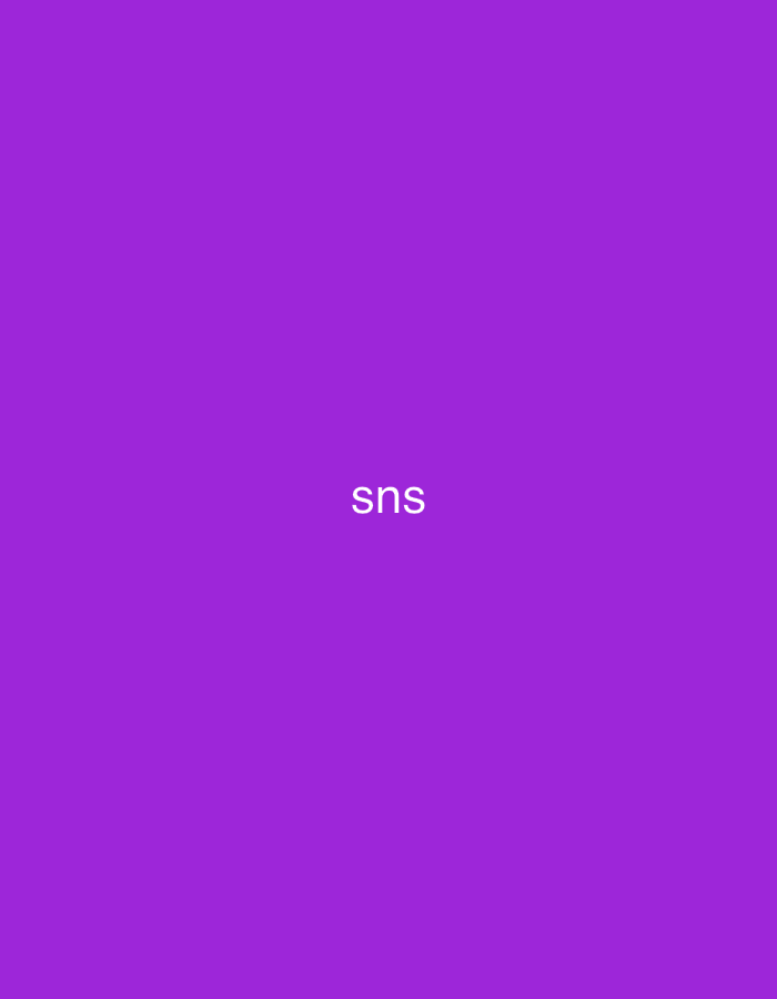 This image, associated with the city of Casablanca, Morocco, displays a minimalist digital composition. It features a solid, uniform purple background. Centrally positioned in the frame is the word "sns," rendered in plain white, sans-serif capital letters. No individuals, discernible objects beyond the text, actions, interactions, or specific physical environmental details are depicted within the digital composition.
