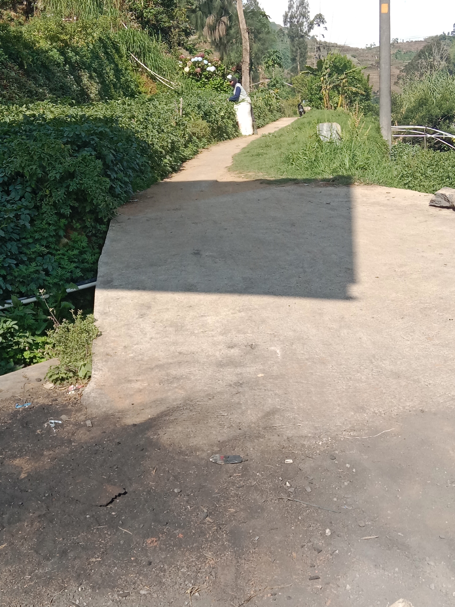 The image shows a concrete path leading uphill through a lush, green environment. The path is bordered by dense vegetation on the left and a grassy slope on the right. A person, dressed in white and blue, is walking up the path. Further up the path, a motorcycle is parked. The environment appears to be a rural or semi-rural area, possibly with agricultural terracing visible in the background. The lighting suggests it is daytime, with shadows cast on the concrete. The scene conveys a sense of an outdoor, everyday activity in a natural setting.