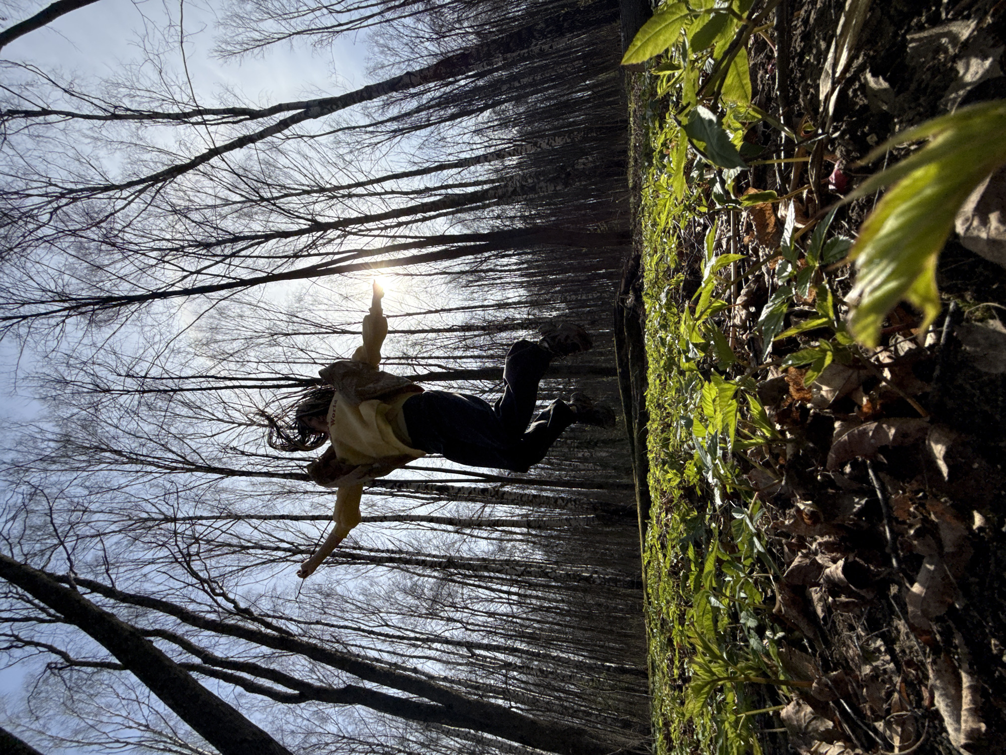A dynamic outdoor scene in a sunlit forest captures a person suspended mid-air. The individual, dressed in a light-colored top with the word "World" visible on it and dark pants, appears to be jumping or performing an acrobatic move, with arms and legs outstretched horizontally. Their hair is flung outwards due to motion.
The setting is a dense forest, characterized by numerous tall, slender deciduous trees, largely bare of leaves, indicating late fall, winter, or early spring. Their dark branches create intricate patterns against the bright, clear sky. A prominent sunflare is visible near the center of the image, indicating the sun's position and contributing to the bright lighting of the scene. On the right side of the frame, vibrant green foliage and scattered dry brown leaves cover the ground, adding a burst of color to the otherwise muted tones of the bare trees. The composition places the person centrally against the backdrop of the forest, emphasizing their movement and the natural environment.