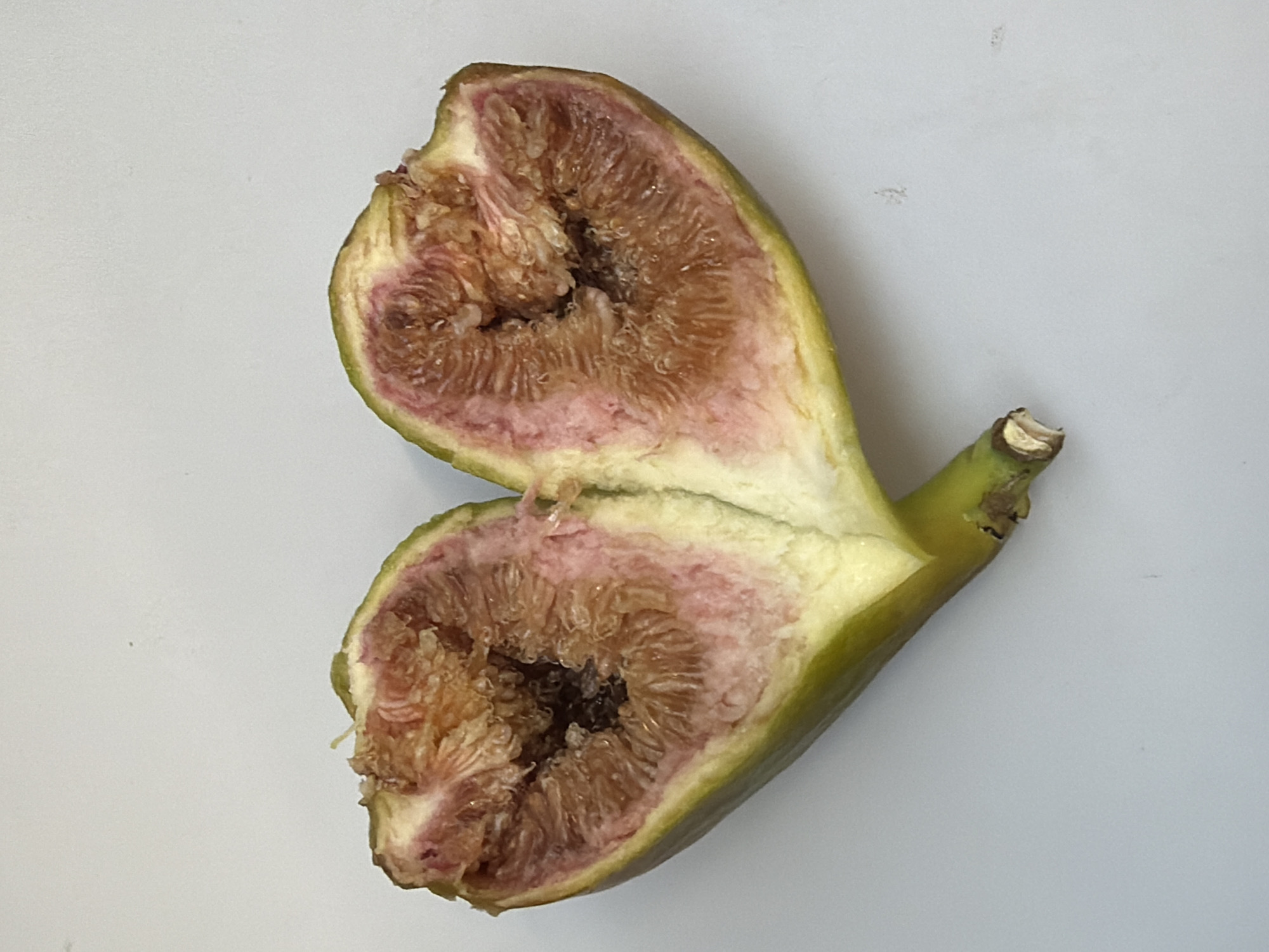 An overhead, eye-level shot displays a halved fig fruit, cut vertically down the middle and spread open, forming a heart shape. The fig, with its outer skin a light green color, reveals an interior of pinkish-red flesh speckled with lighter pink hues. The pulp is textured with numerous tiny seeds, arranged in concentric circles around a darker, somewhat hollow center. The two halves of the fig are separated, with a small portion of the stem visible at the bottom. The background is a plain, neutral gray, offering no environmental context or location.