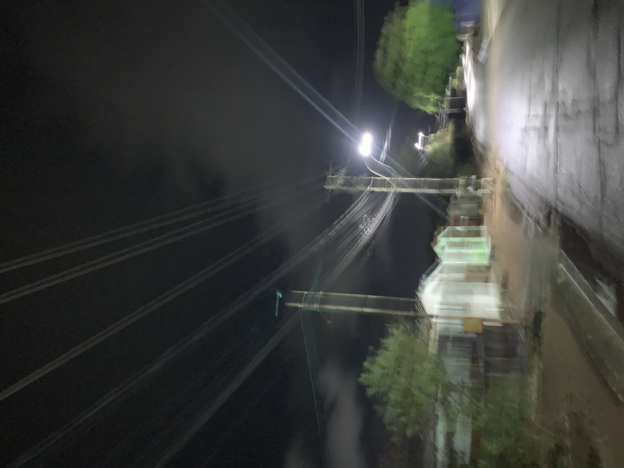 The image captures a blurred night scene in a residential area of Altagracia, Venezuela. The view is from a low perspective, looking down a damp asphalt road that recedes and curves gently to the right. The immediate foreground on the left features an unpaved, possibly muddy ground area. Multiple utility poles, likely constructed from wood or concrete, are positioned along the sides of the road, supporting a complex network of overhead power lines that diagonally traverse the dark, cloudy sky. Streaks of light from the power lines and other elements indicate significant motion blur throughout the photograph.
Two distinct streetlights are visible, emitting bright white light that illuminates the road surface, creating reflections consistent with wet conditions. On the left side of the road, partially obscured by dense green foliage, several single-story structures are present; some appear painted white, while others exhibit a light green tint, possibly from artificial illumination or material. On the right side of the road, large green trees line the thoroughfare. The sky above is dark with discernible cloud formations. No people, animals, or vehicles are visible within the frame, and no specific actions or interactions are depicted.