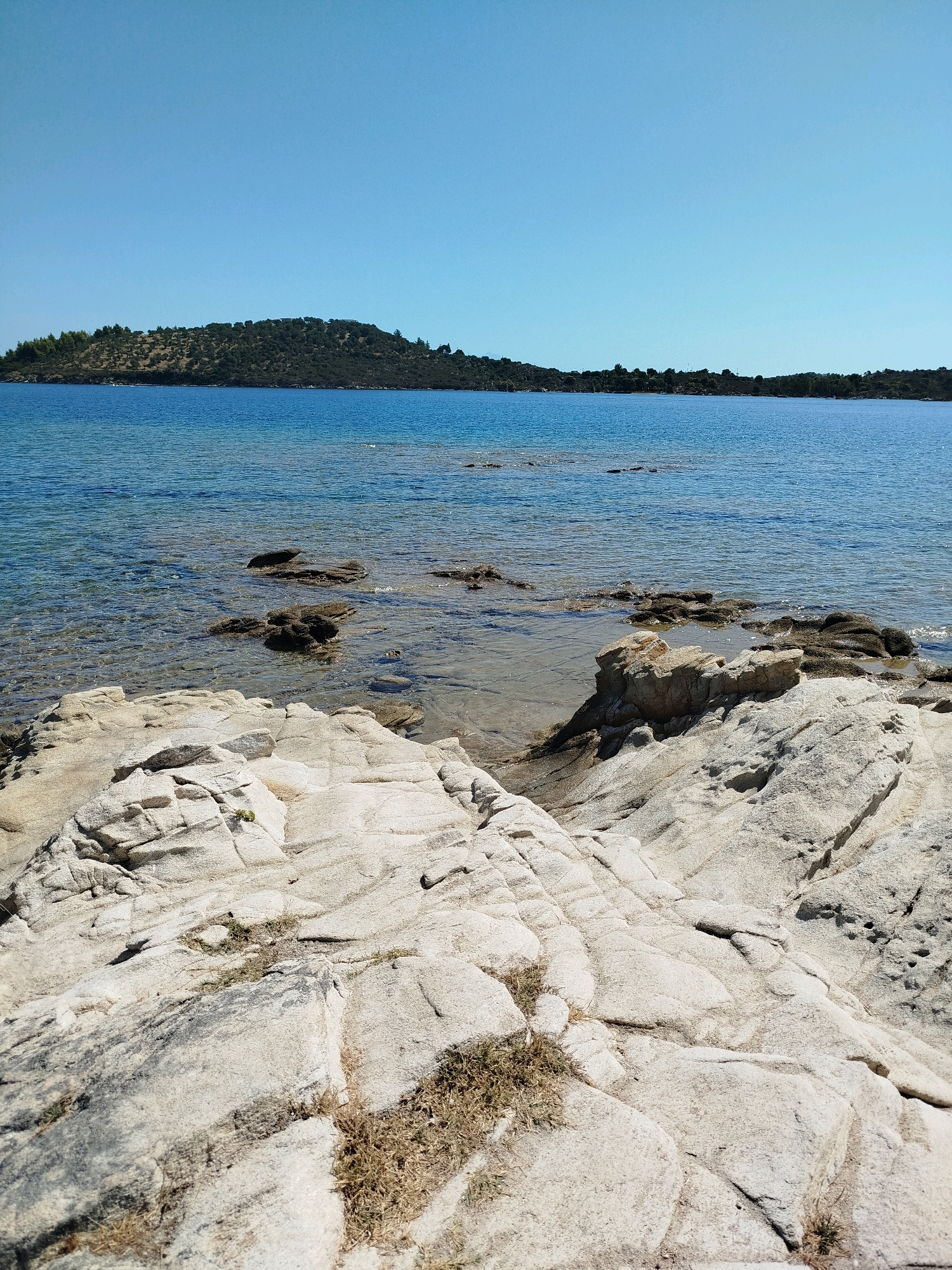 The image shows a rocky coastline with clear blue water. In the foreground, large, light-colored rocks are visible, with patches of dry grass growing between them. The water is shallow near the shore, allowing the sandy bottom and some submerged rocks to be seen. Further out, the water deepens to a vibrant blue. In the distance, a hilly, tree-covered island or peninsula is visible under a clear, bright blue sky. The scene appears to be a natural, undeveloped coastal area, likely in a Mediterranean climate. The location is identified as Sithonia Municipal Unit, Greece. There are no people or man-made structures immediately apparent in the image.