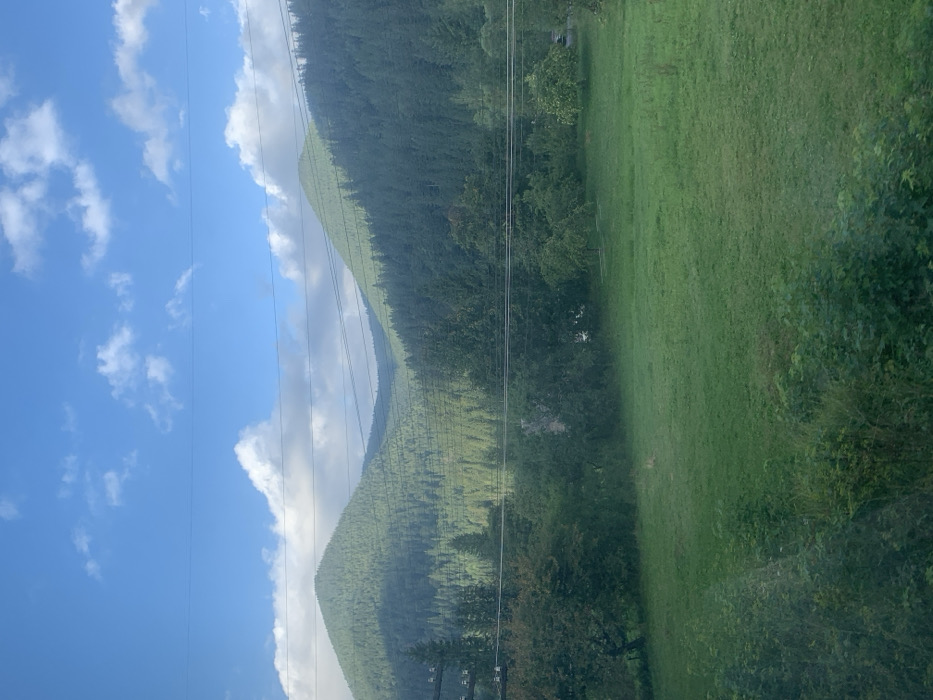 The image displays a daytime landscape in Tatariv, Ukraine. The upper third of the frame features a clear blue sky with scattered white cumulus clouds. Multiple dark, thin utility lines traverse horizontally across the mid-upper section of the frame. The background is dominated by two large mountains densely covered in dark green coniferous trees, appearing to form a valley between them. In the midground, a band of various trees, including both coniferous and deciduous species, separates the mountains from an open expanse. A light-colored building is partially visible through the foliage on the left side of the midground. The lower half of the image is occupied by a wide, vibrant green grassy field, with darker green bushes and foliage present along the immediate foreground. A dark vehicle is faintly discernible behind trees on the far right midground. No individuals, animals, or discernible actions are present. The scene is illuminated by natural daylight, casting subtle shadows on the mountain slopes and within the treelines.