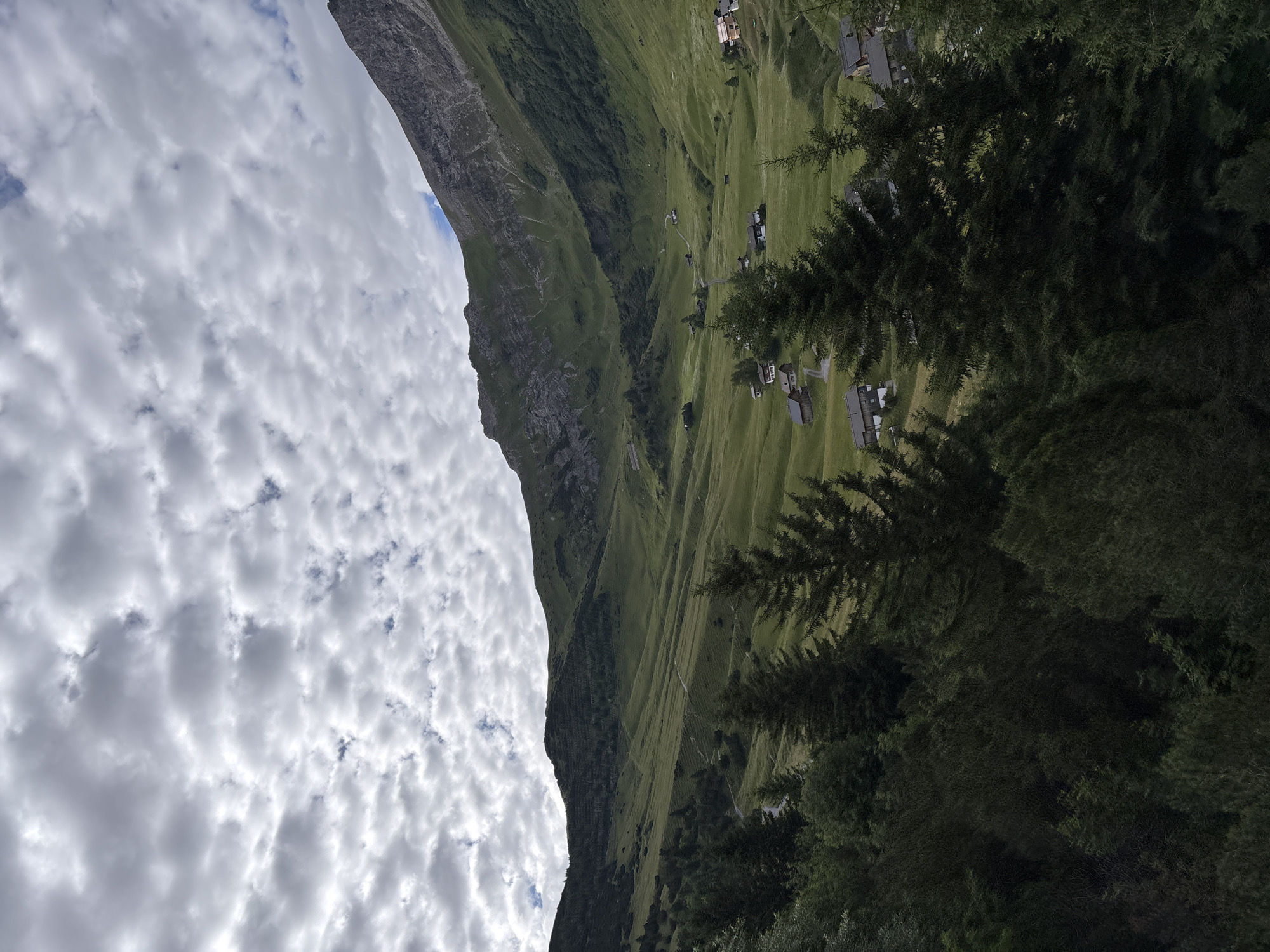 The image depicts a serene mountain landscape in Malbun, Liechtenstein. In the foreground, dense dark green pine trees dominate the scene, with their branches creating a textured canopy. Beyond the trees, rolling green hills stretch into the distance, carved by winding paths and dotted with several small, traditional wooden houses, indicating a rural or alpine village setting. The midground showcases a valley with more scattered houses and agricultural terracing on the slopes. The background features a majestic, rugged mountain range with rocky textures and green, grassy inclines. The sky is overcast with a dramatic pattern of grey and white clouds, suggesting a day with variable weather. The overall impression is one of natural beauty and tranquility.