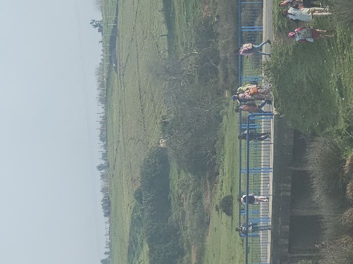 The image captures a scene in the city of Ameur عامر, Morocco, depicting a concrete bridge spanning a depression in a green, hilly landscape. Approximately 14 individuals, largely appearing to be students and carrying various backpacks, are visible. On the bridge, a group of seven individuals are walking from right to left across the paved surface, which is bordered by blue metal railings. Two additional individuals are also on the bridge: one leans on the far left railing, and another stands near the center. Below and to the right of the bridge, a group of four individuals are walking uphill on a grassy slope. A single individual is partially obscured by dense brush in the lower left foreground, beneath the bridge structure. The environment consists of rolling green hills, some with scattered trees and a distant fence line marked by posts. The sky above is light and hazy.