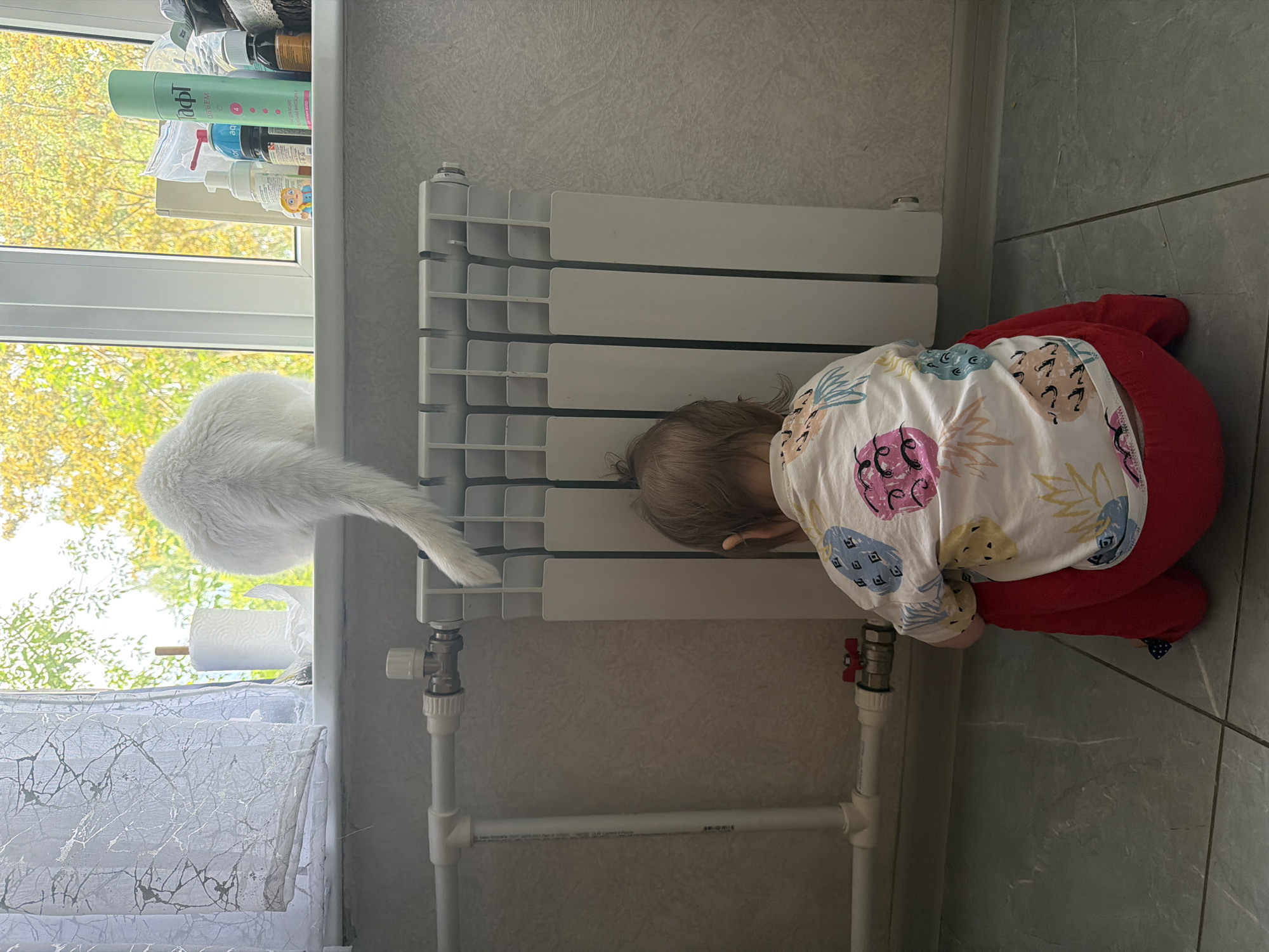 A young child in a white shirt with pineapple designs and red pants is kneeling near a white radiator. The child appears to be looking into the radiator. A white cat is visible on the window sill above the radiator, next to a roll of paper towels. Various bottles are on the window sill above the cat. The room has a gray tiled floor and light-colored walls. The window offers a view of trees with yellowing leaves. The location is presumed to be Tokkari, Russia.