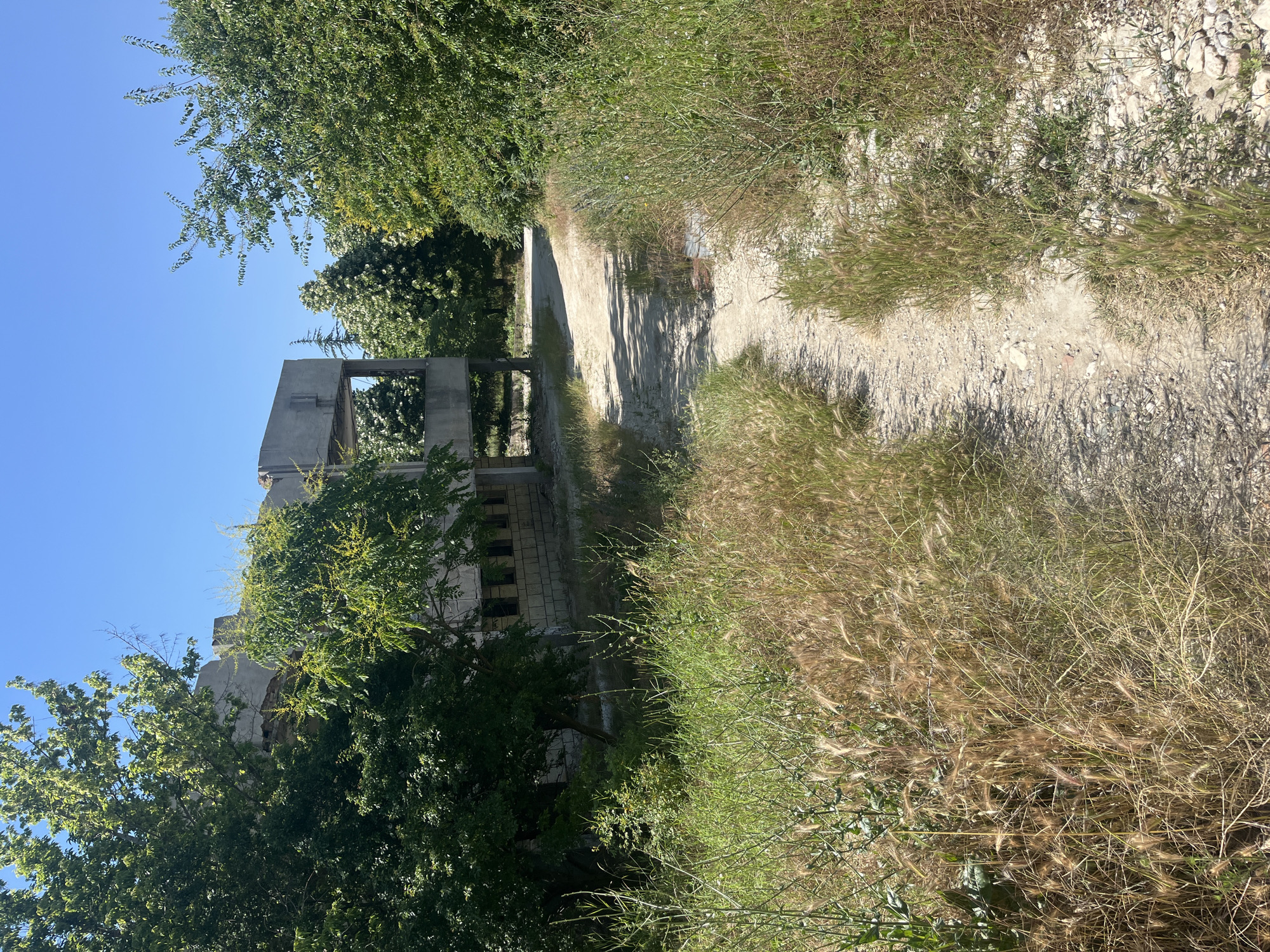 The image shows an unpaved path leading through overgrown vegetation towards a partially constructed or derelict concrete building. The building appears to be unfinished, with exposed rebar and concrete beams. Large trees and dense foliage surround the structure, and the path is flanked by tall grasses and weeds, some of which have gone to seed. The sky is clear and blue. The scene suggests a location that has been abandoned or neglected, with nature reclaiming the area. This is likely an industrial or former construction site. The location in Varna, Bulgaria is unknown.
