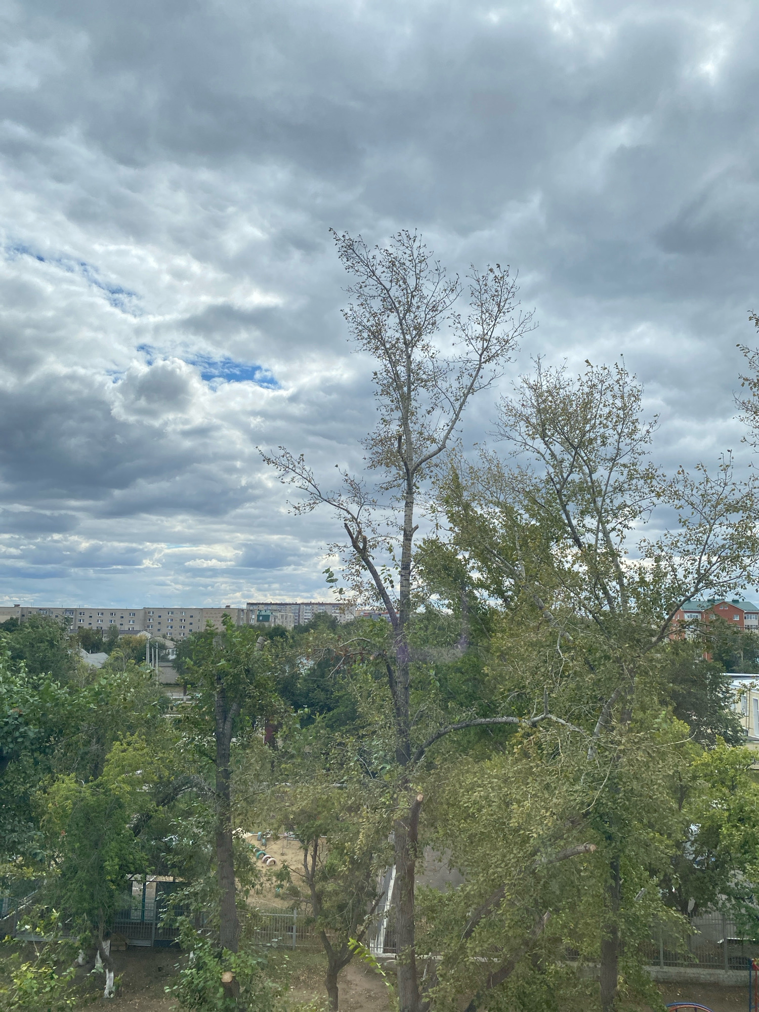 The image shows a view of a city with buildings and trees under a cloudy sky. In the foreground, there are several trees, some with sparse foliage and others with dense green leaves. One of the trees in the center appears to have had branches pruned. In the middle ground, there are more trees and some low-rise buildings, possibly houses. In the background, there is a long, multi-story apartment building with a row of windows. The sky is filled with a mixture of dark and light gray clouds, with patches of blue sky visible. The scene is likely a residential area. This image is part of a set of images taken in the city of Kostanay, Kazakhstan.