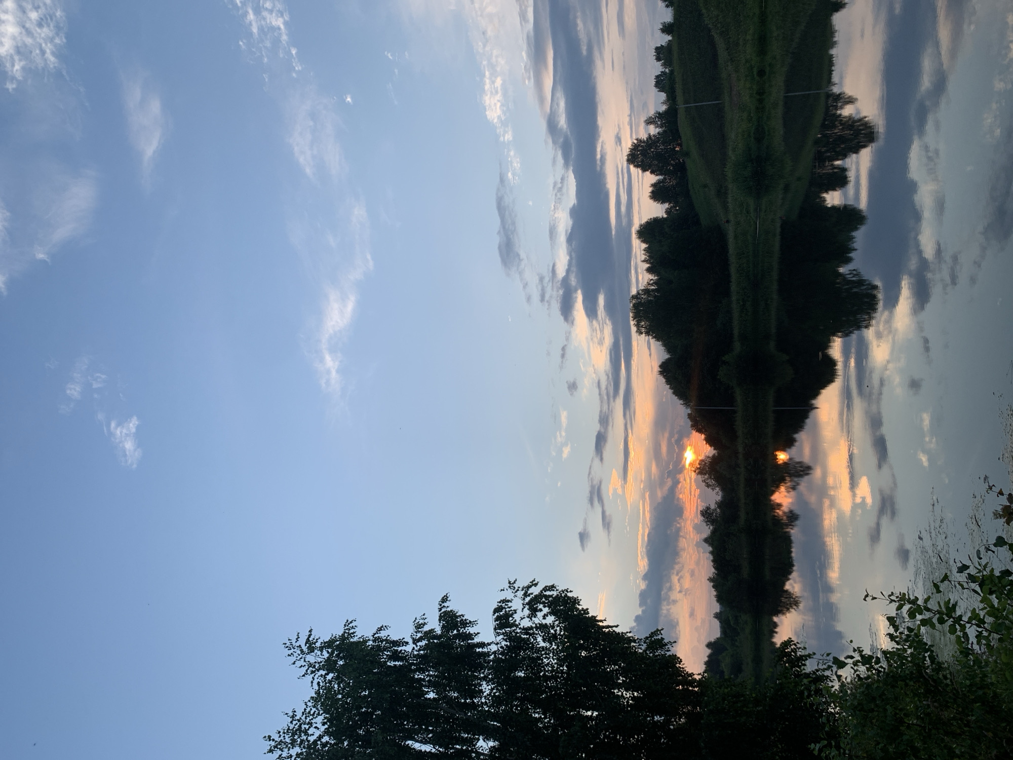 A serene twilight scene unfolds over a tranquil body of water, possibly a river or lake, in the vicinity of Zasechnyi, Russia. The sky, a canvas of soft blues and grays, is illuminated by the warm glow of a setting sun peeking through scattered clouds. A silhouette of a lush, green treeline borders the far bank of the water, its reflection creating a mirror image on the glassy surface. The foreground features a tall, dark tree on the left, its branches reaching upwards, and a small patch of greenery along the water's edge. The overall atmosphere is one of peace and natural beauty, characteristic of the rural landscapes surrounding Zasechnyi.