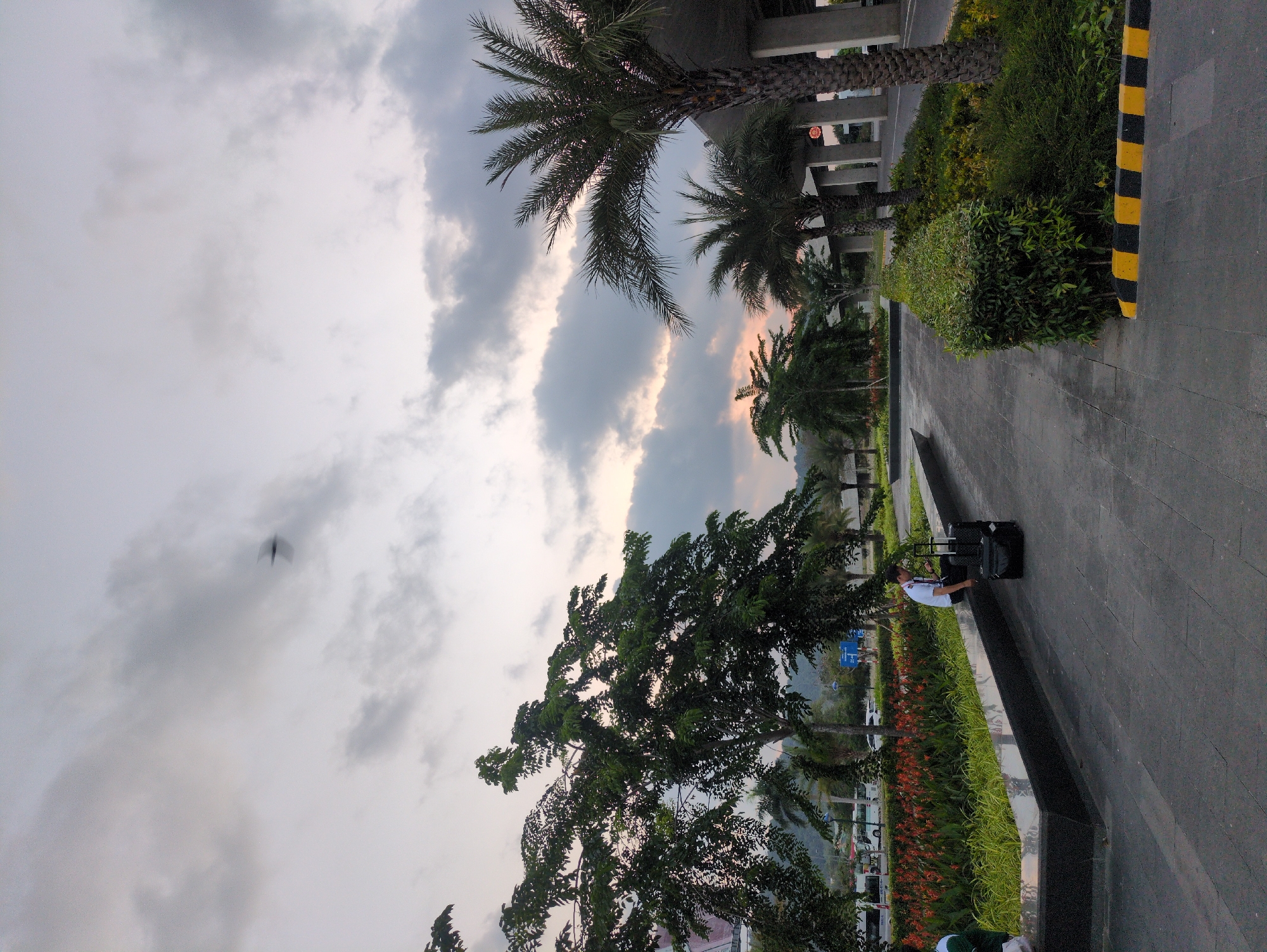 The image captures an outdoor scene in Phú Quốc, Vietnam. The time appears to be dusk or dawn due to the soft lighting in the cloudy sky, which takes up most of the frame. Palm trees dot the landscape, interspersed with other greenery including shrubs and flowering plants along a walkway. A person in a white shirt is seated next to a suitcase on the walkway. In the distance, cars and buildings are visible. A dark object, possibly a bird, is seen in the sky.