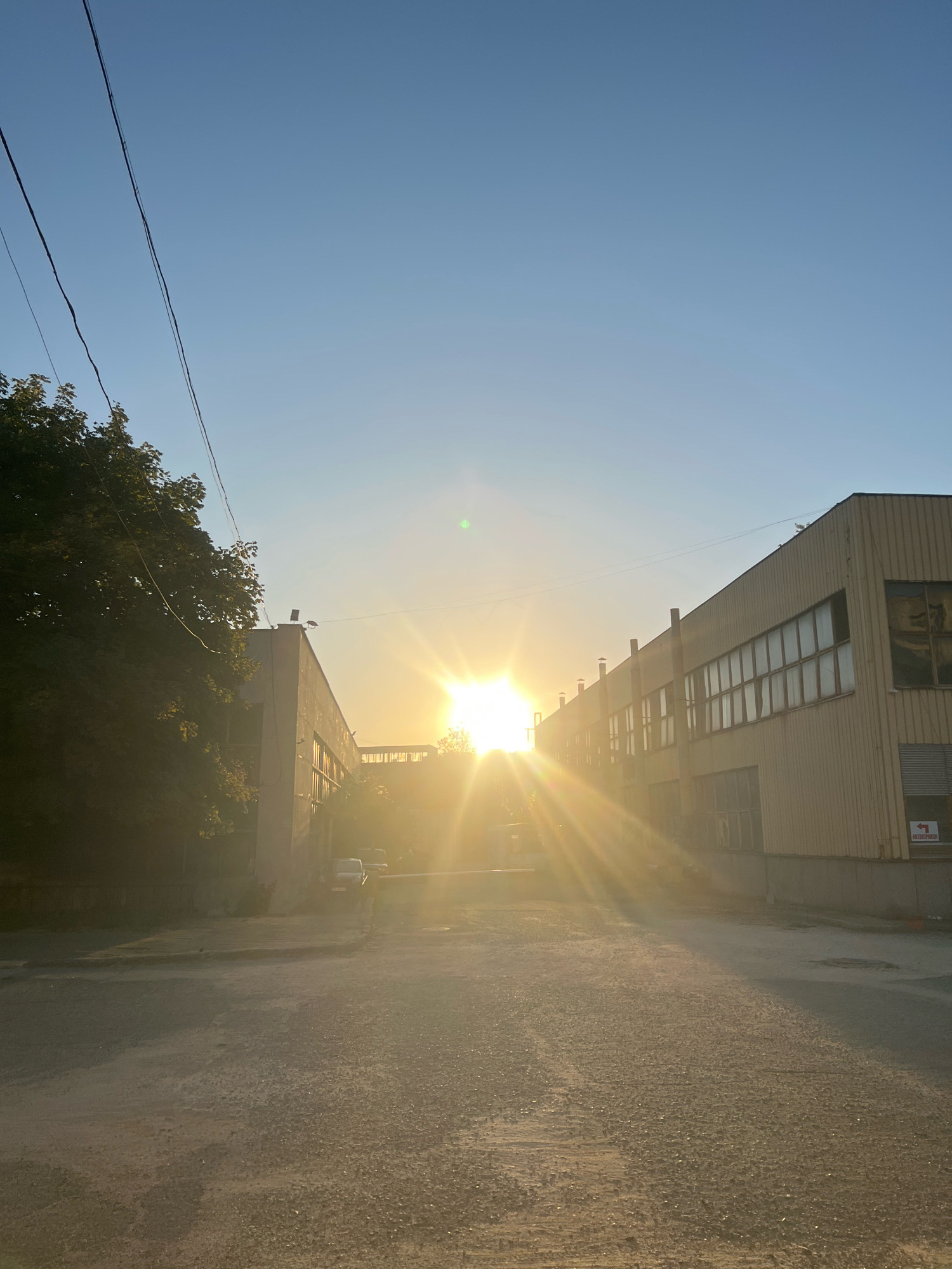 The image captures a sun-drenched street scene, likely an industrial or commercial area in Plovdiv, Bulgaria, during either sunrise or sunset. The sun, positioned centrally and low in the sky, emits strong rays that illuminate the environment with a golden hue, creating a lens flare effect and casting long shadows.
On the left side of the image, a building with a light-colored facade and numerous windows is partially obscured by the dense foliage of a large tree. Overhead, power lines stretch across the clear blue sky.
Opposite the tree-lined building, a longer, yellowish industrial building with a corrugated metal exterior and a row of large windows dominates the right side of the frame. A red and white sign with an arrow pointing to the left is visible on this building.
The street itself appears to be paved with a mix of asphalt and gravel, showing signs of wear and tear. A few vehicles, including what looks like a white van or car, are present in the middle ground, partially illuminated by the sun's glare. The overall atmosphere is one of quietude, bathed in the warm light of the setting or rising sun.