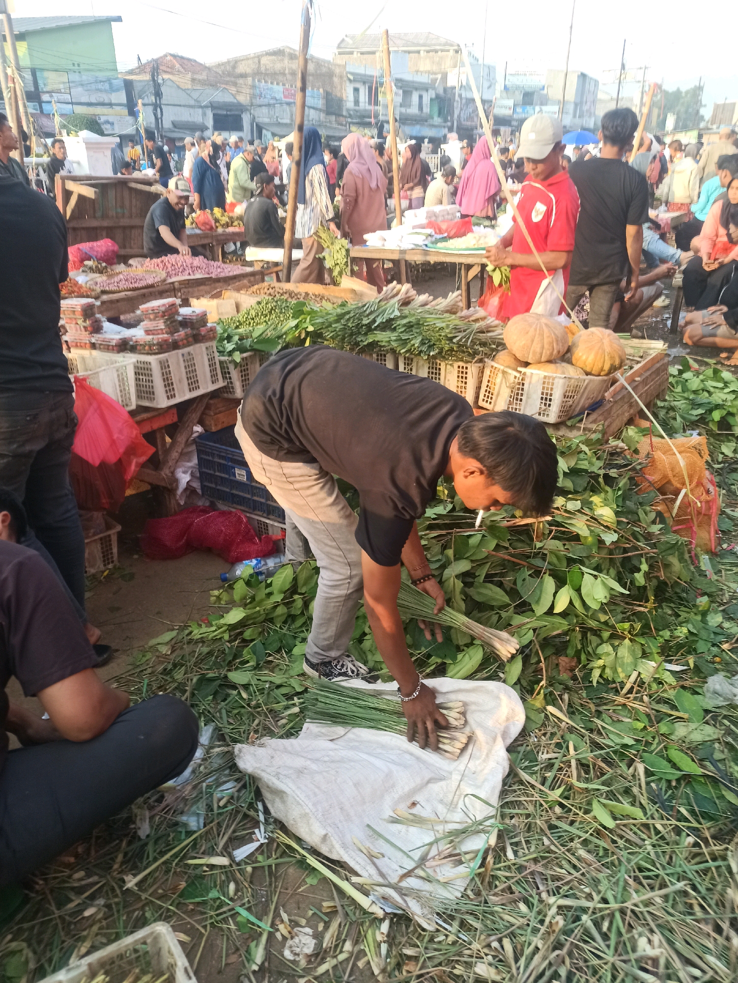 The image depicts an outdoor market scene in Cikarang, Indonesia, likely during daylight hours. In the foreground, a man in a black t-shirt and grey pants is seen bending over, holding a bunch of lemongrass and looking down. He is also smoking a cigarette. Next to him, on the ground, is a white sack filled with more lemongrass, surrounded by loose green leaves and grass. Further back, there are various market stalls with produce, including red strawberries in white crates, and several pumpkins on display. People are milling around the market, some standing and others seated. The background shows buildings and market structures, suggesting a bustling commercial area. The overall impression is a busy, everyday market environment.