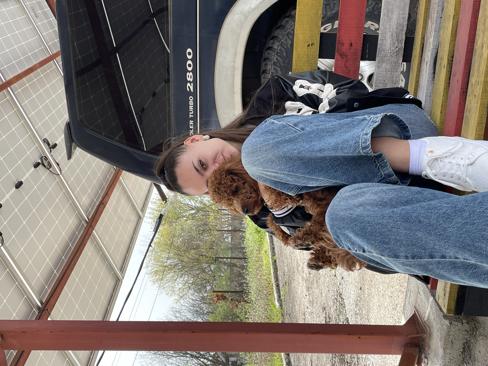 A person, likely female with long brown hair, wearing a denim jacket and jeans, is holding a small brown poodle dog. The dog is wearing a black jacket with white detailing. They are sitting on a bench made of vertically arranged, painted wooden planks in various colors. Behind the person is a blue vehicle with the words "OLER TURBO 2800" written on it. Above and to the left, there is a solar panel array. Outside is visible with a few trees. This is an outdoor setting, but the specific location of Vabel, Bulgaria cannot be determined from this image alone.