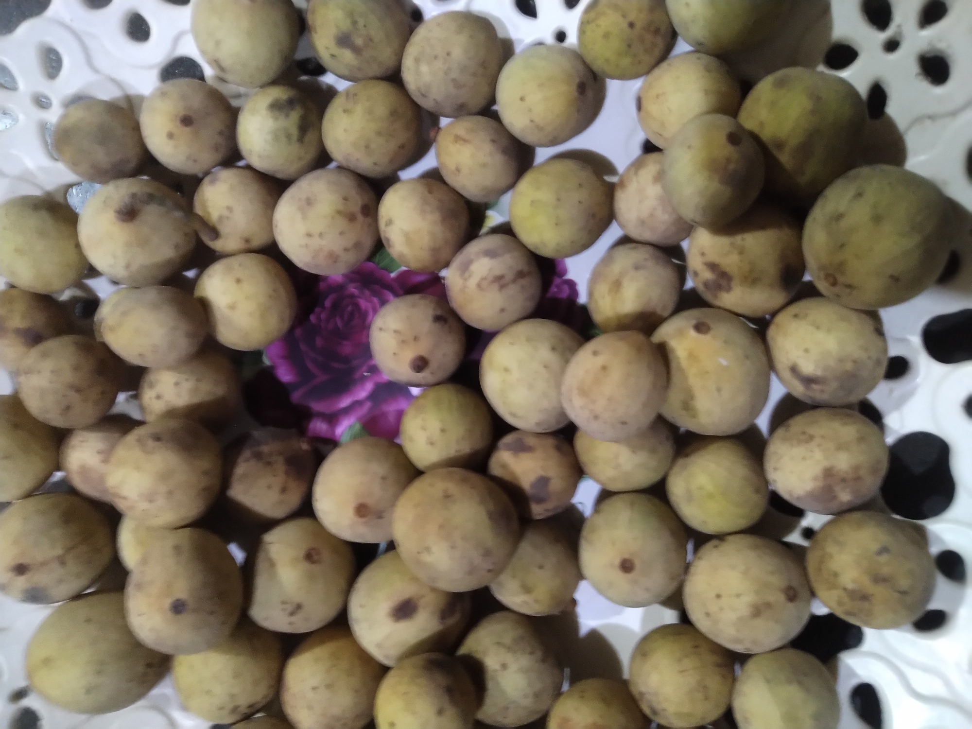 A close-up, overhead shot showcases a pile of ripe lanzones fruit, also known as langsat or duku, filling a white, textured plastic tray. The fruits are small, round, and have a light yellowish-brown skin, some with darker speckles and hints of green. They are densely packed, with some overlapping, creating a natural, organic arrangement. The tray itself has a decorative, perforated pattern around its edges, suggesting it might be a fruit bowl or serving dish. In the background, a glimpse of a floral design, with shades of purple and pink, is visible beneath the fruits, adding a touch of color and hinting at a decorative liner or the surface the tray rests on. The lighting appears to be natural, possibly from an open window or overhead room light, casting soft shadows that highlight the fruits' roundness and textures. The overall impression is one of abundance and freshness, evoking a sense of a harvest or a market scene in a tropical location like Gampongbaro, Indonesia. There is no visible text in the image.