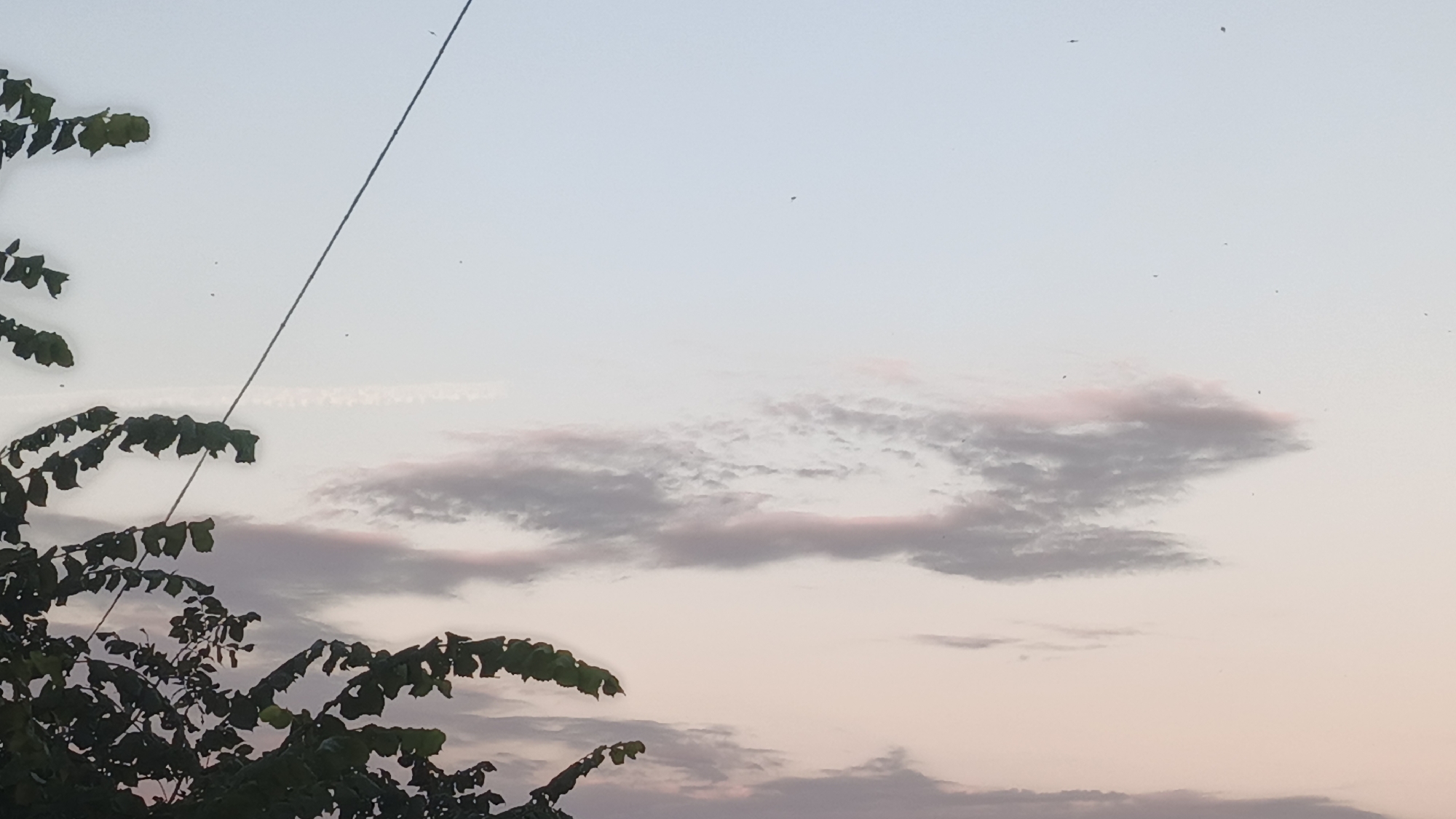 A low-angle shot captures a serene sky in Kuznetsk, Russia, during either dawn or dusk. The sky is a gradient of pale blue to soft pink, with wispy clouds scattered across the expanse. A thin, dark wire, likely a utility line, bisects the frame diagonally from the top left corner. In the lower left, the dark green foliage of a tree branches into the scene, its leaves silhouetted against the pastel sky. Several small, dark specks, possibly birds or insects, are visible in the sky. A faint, linear cloud formation, resembling a contrail, stretches horizontally in the middle ground. The overall impression is one of quiet contemplation.