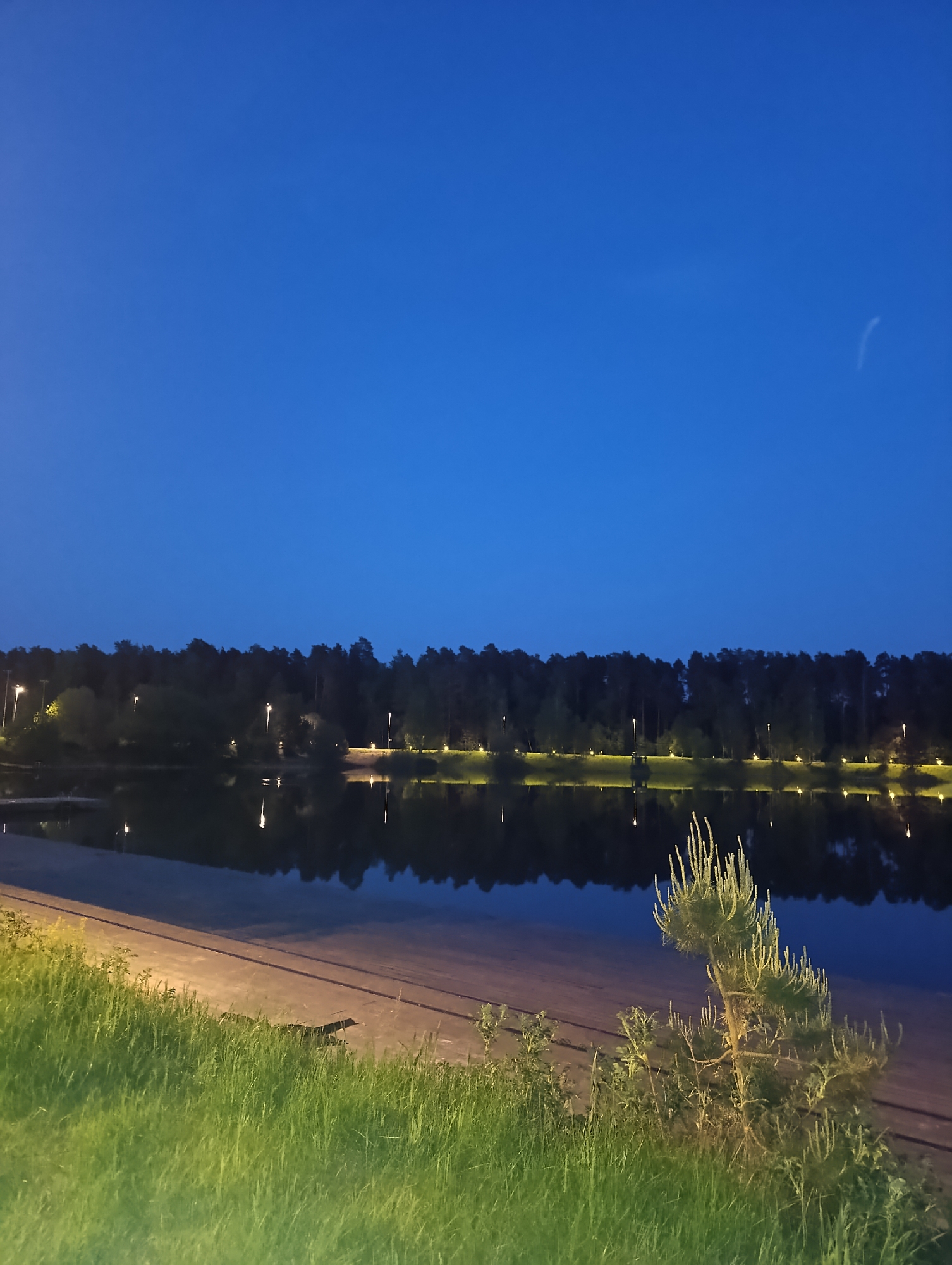 The image depicts a tranquil lake at night, possibly located in Unknown, Unknown. The sky is a deep blue, with a faint white contrail visible in the upper right. Across the lake, a dense line of trees forms the horizon. Several evenly spaced lampposts cast a warm, yellow light along the opposite shore, with their reflections visible in the still water. The near bank is covered in green grass and low vegetation. A concrete shoreline is visible between the grass and the water. In the lower right corner, a small evergreen shrub is silhouetted against the lake. The scene is still and calm, suggesting a peaceful evening environment.