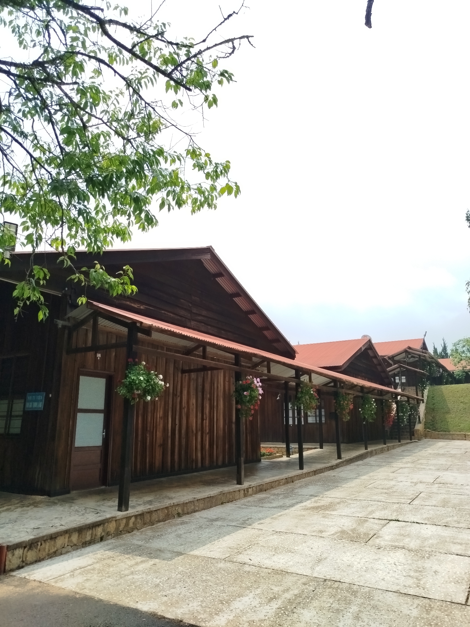 The image depicts a row of wooden buildings with red corrugated iron roofs in Lâm Viên - Đà Lạt, Vietnam. Each building has a covered walkway supported by dark wooden posts. Hanging baskets of flowers are suspended from the walkway roof. The buildings are constructed with vertical wooden planks. The walkway is paved with concrete slabs. A tree with green leaves is visible in the foreground, partially obscuring the buildings. Beyond the buildings, a grassy slope leads to a higher level. The sky is overcast.