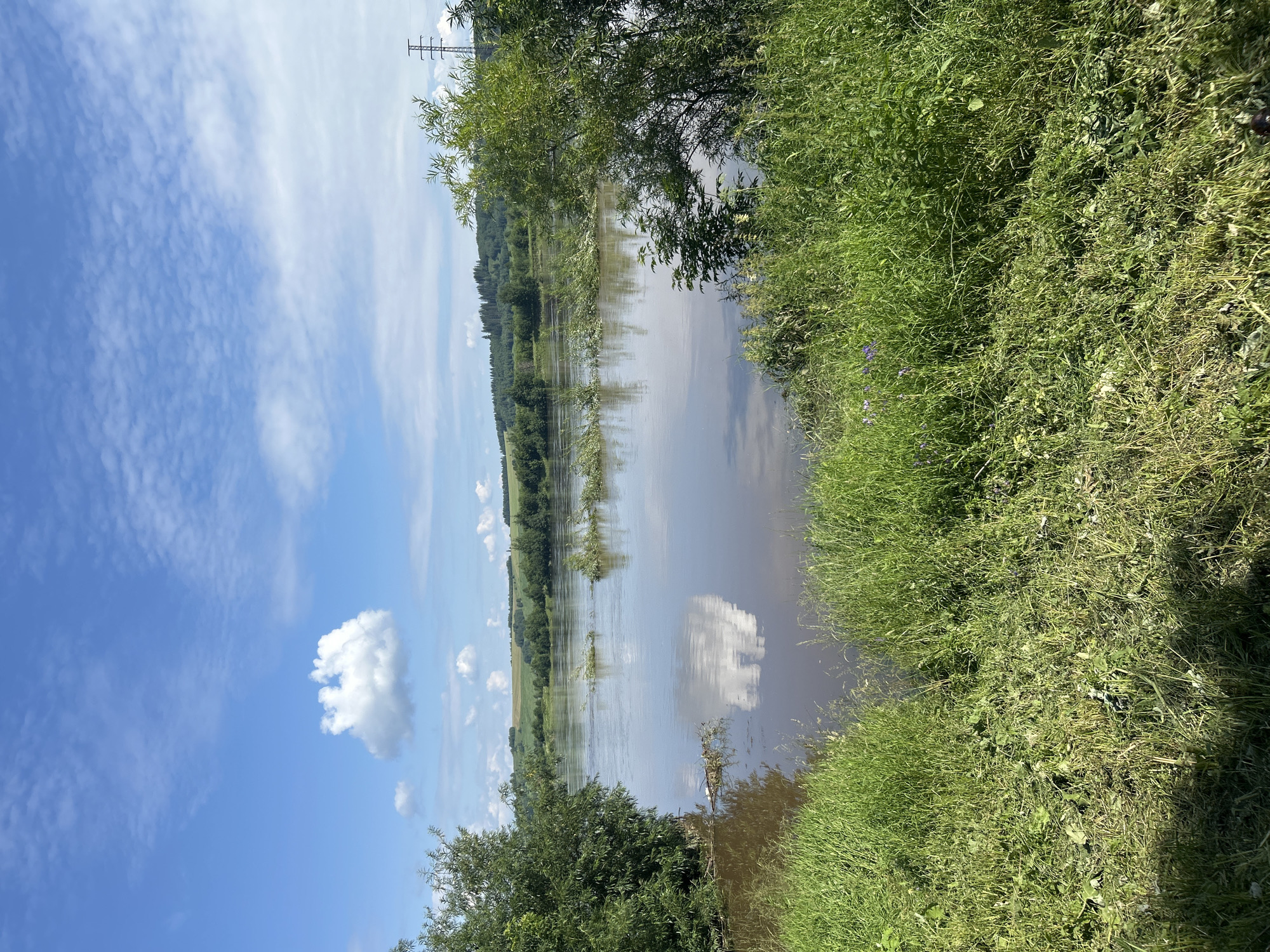 The image depicts a wide, muddy river flowing through a rural landscape under a bright blue sky with scattered white clouds. The riverbanks are overgrown with lush green grass and trees, some of which are partially submerged due to high water levels. Several branches and debris are visible floating on the water's surface, suggesting recent flooding. In the background, rolling hills covered with trees and fields stretch towards the horizon. A transmission tower can be seen on the right side of the image. The scene appears to be a natural landscape without any signs of human activity or infrastructure other than the distant transmission tower. The location is identified as Lyamino, Russia.