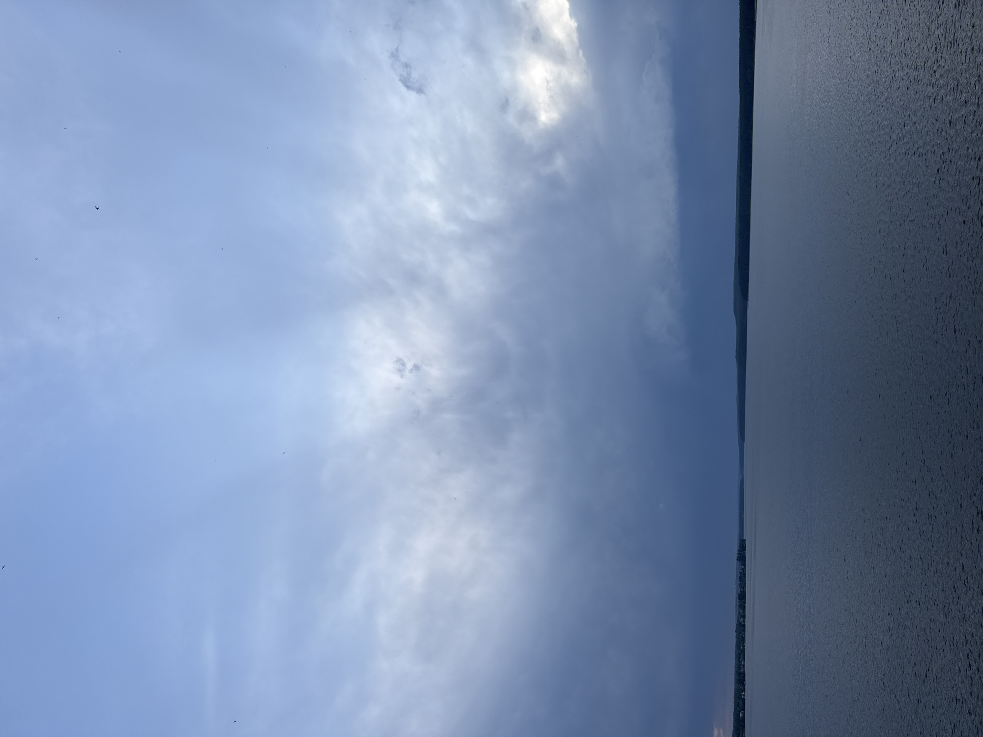 The image depicts a waterfront scene in Votkinsk, Russia, with a body of water (likely a lake or reservoir) occupying the right half of the frame. The water's surface is textured, indicating some degree of ripple or small waves. The left half of the image is dominated by a sky filled with patchy, diffused clouds ranging in color from bright white to light grey. Some birds are scattered across the sky. A strip of land, possibly shoreline vegetation and low-lying buildings, separates the water from the sky.