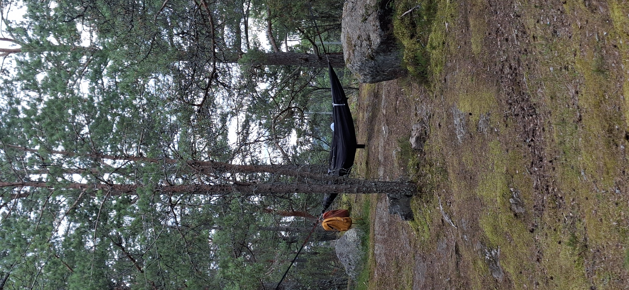 The image depicts a natural setting with pine trees, rocks, and moss-covered ground. In the center, a black hammock is suspended between two trees, with a person lying in it, partially obscured by a white object. To the left of the hammock, an orange backpack is hung on a tree. The ground is uneven and covered with pine needles, small stones, and patches of moss. Large boulders are scattered throughout the scene. The lighting suggests it might be overcast or late in the day. This scene is likely from a forested area in or near Naantali, Finland, a coastal town known for its archipelago and natural landscapes.