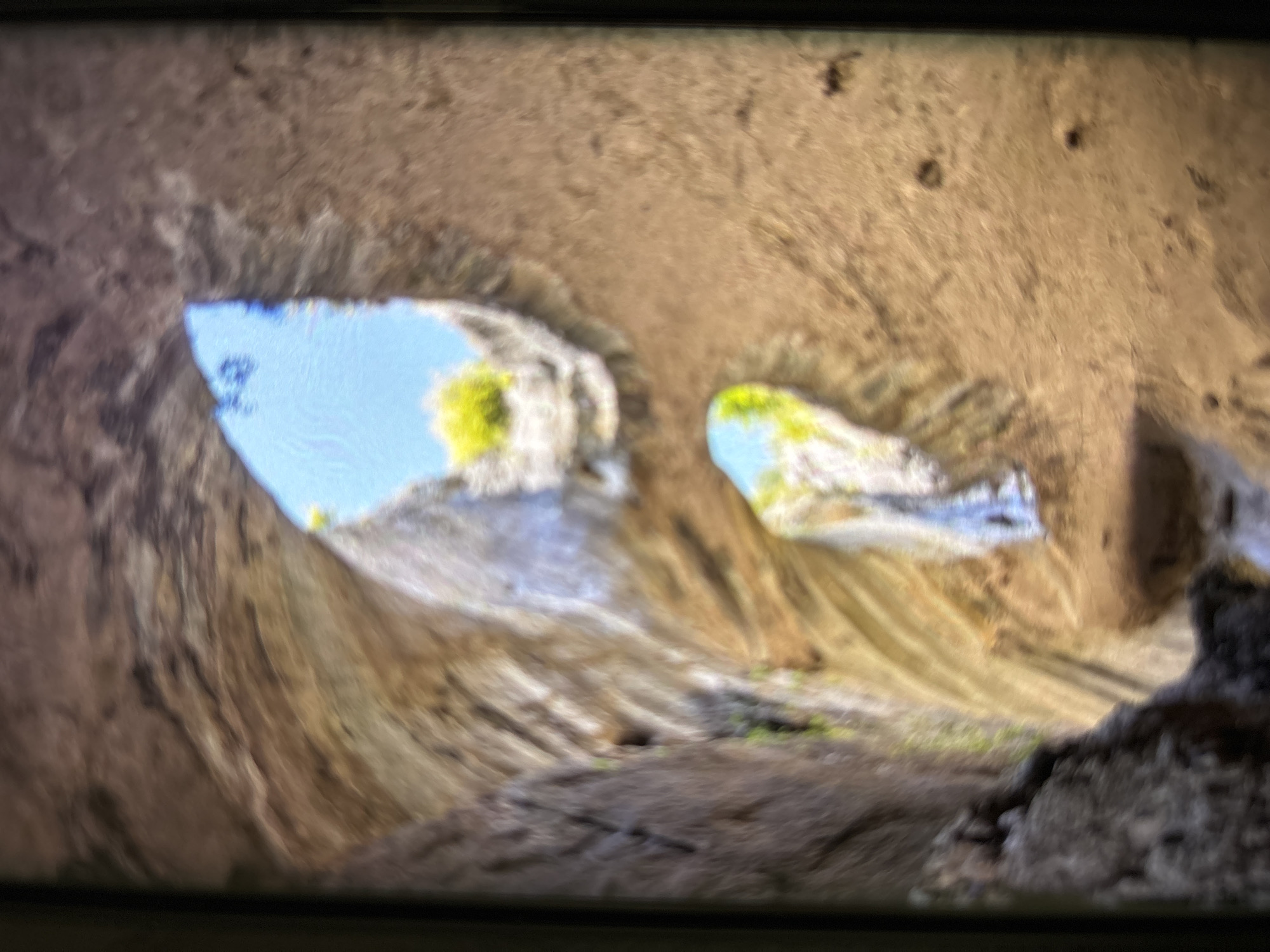 The image is a very blurry photograph of a natural rock formation, possibly taken from within a cave or a narrow canyon. The most striking features are two prominent, irregular openings in the rock face, which, due to their shapes and symmetrical placement, strongly resemble a pair of eyes looking outwards.
Through these "eye-like" openings, a bright, clear blue sky is visible, indicating an outdoor setting during daylight hours. Around the edges of these openings and on other parts of the rock, patches of yellowish-green vegetation, likely moss or small plants, can be seen.
The rock itself displays various shades of brown, tan, and grey, with visible textures and striations that suggest layers and natural erosion. The ground within the formation appears rugged and uneven, with darker, more substantial rock or debris present in the foreground on the right side.
No people, objects, or activities are discernible in the scene. The overall impression is that of a natural landscape, perhaps a geological wonder, with an almost anthropomorphic quality due to the "eye" formations. The image is significantly out of focus, rendering many details indistinct. There is no visible text. The scene is static, depicting a calm, natural environment under a clear sky.