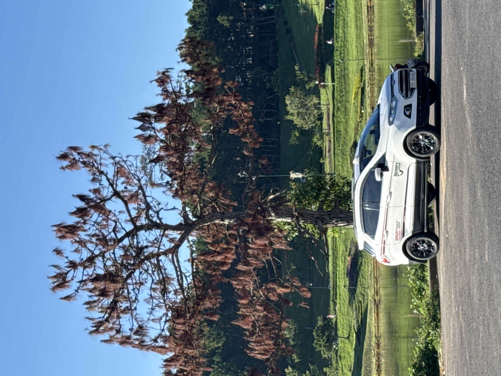 In the city of Phường Xuân Hương - Đà Lạt, Vietnam, a white Ford EcoSport is parked on an asphalt surface. The car is positioned facing the right side of the frame, with its front end angled slightly towards the viewer. A motorcycle is parked behind the car. The car has the word "Discovery" on its side, and red stripes with the word "SPORT" are visible on the rear passenger door. The license plate reads "72L 264.83".
Behind the car, a body of water, likely a lake, stretches across the middle ground. The water reflects the sky and surrounding greenery. A well-maintained grassy slope rises from the edge of the water, dotted with trees and decorative shrubs. In the background, a dense forest covers a higher incline.
A large tree with sparse, brown, pine-like foliage dominates the left side of the frame, its branches reaching towards the clear blue sky. Sunlight illuminates the scene, casting shadows and highlighting the textures of the tree bark and the car's paint. Several lampposts are visible on the grassy slopes, indicating a park or recreational area. A few individuals are present in the background, some walking on the grassy areas, and a person on a scooter can be seen near the parked motorcycle. The overall atmosphere is serene and summery.