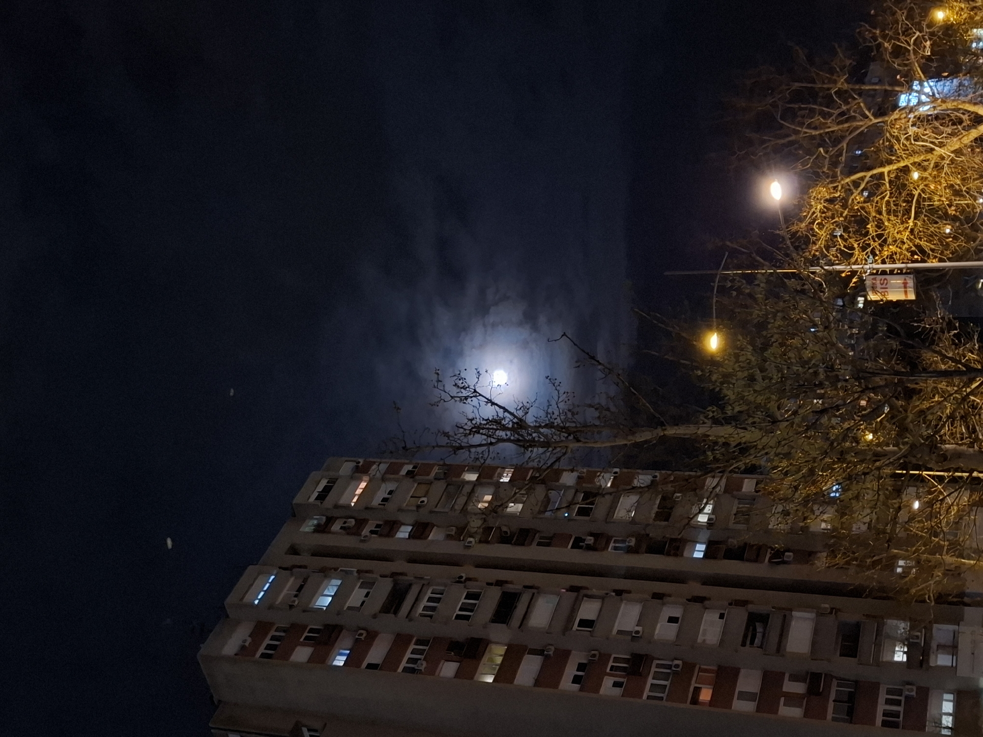 The image shows a building at night in Novi Sad, Serbia, with a dark sky and a visible moon partially obscured by clouds. The building is a multi-story structure with rows of windows, some of which are illuminated. There's a bare tree with lights intertwined in its branches on the right side of the frame. A street sign is also visible amidst the tree branches. The perspective is from a low angle, looking up at the building and the sky.