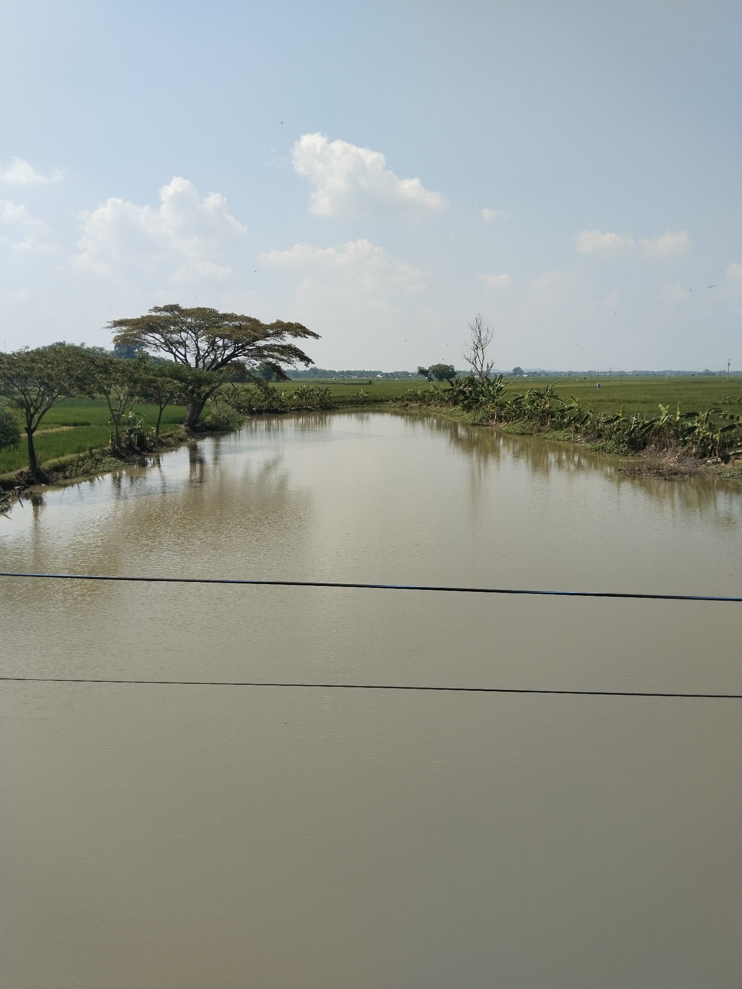 The photograph captures a still, wide body of murky, light-brown water, presumably a river or a large pond. The water reflects the surrounding landscape, including the trees and sky. Along the left bank are a few trees with green foliage; one tree further back has a broader, more expansive canopy. The opposite bank is lined with vegetation, potentially banana trees, and fields of what appears to be crops, possibly rice. In the distance, the landscape flattens out into agricultural land. The sky is a light blue with scattered white clouds. Two dark, horizontal lines stretch across the lower part of the frame, suggesting they are wires, perhaps part of a bridge or an infrastructure element. The scene evokes a rural setting, likely in Gawan, Indonesia. There are no visible people or significant actions taking place. The primary subject of the image is the tranquil, undisturbed water body within its natural surroundings.