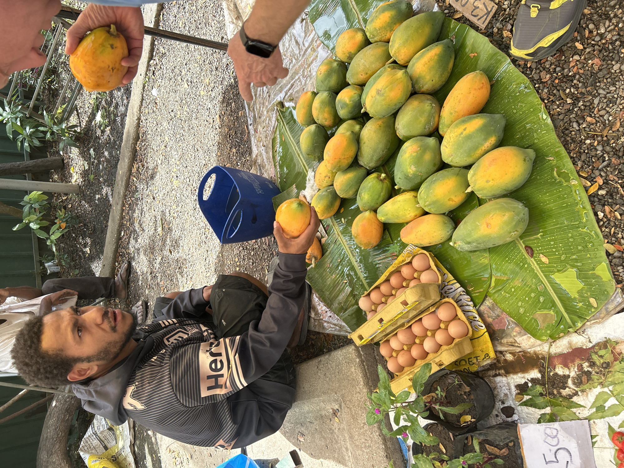 At a market stall in 9-Mile, Papua New Guinea, a young man in a grey hooded sweatshirt with pink and black accents sits on a concrete curb, facing right. He is holding an orange papaya in his right hand, examining it. A pile of papayas is arranged on large green banana leaves spread on the ground in front of him, with some yellow egg cartons to the left. A blue bucket is visible behind the papayas. To the right, another person's hand, wearing a black smartwatch, points towards the papayas. The ground is covered in gravel, with some scattered leaves. In the background, vegetation and fencing suggest an outdoor setting.