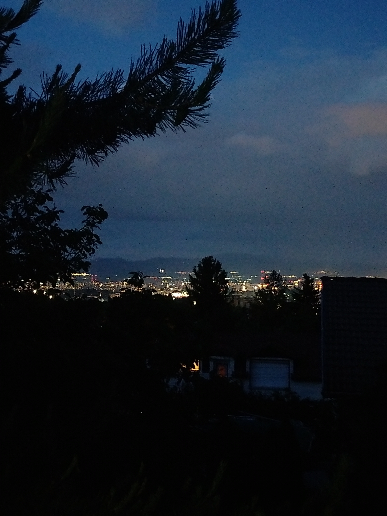 This media file presents a nocturnal or late dusk landscape view of Sofia, Bulgaria, captured from an elevated perspective. The sky, a dark blue-grey with subtle cloud formations, sets the low-light ambiance.
In the immediate foreground, a prominent silhouette of a conifer branch, likely from a pine tree, extends diagonally across the upper left portion of the image, its needles sharply defined against the sky. Below this, other dark, indistinct shapes of trees and bushes occupy the lower and left-hand sides, framing the distant city. To the bottom right, a part of a building, possibly a house, is visible mostly in deep shadow, with a faint, warm yellow light emanating from what appears to be a window or interior space.
The midground and background reveal the sprawling cityscape of Sofia. Numerous artificial lights, appearing as bright white, yellow, and occasional orange specks, illuminate the urban area, stretching across the horizon. Behind these city lights, the faint, dark contours of mountains are visible, reinforcing the geographical context of Sofia.
The image conveys a serene yet expansive atmosphere, contrasting the shadowed natural elements in the fore with the vibrant, lit-up urban expanse. The overall quality suggests it was taken in challenging low-light conditions, possibly resulting in some image grain. There is no visible text in the image.