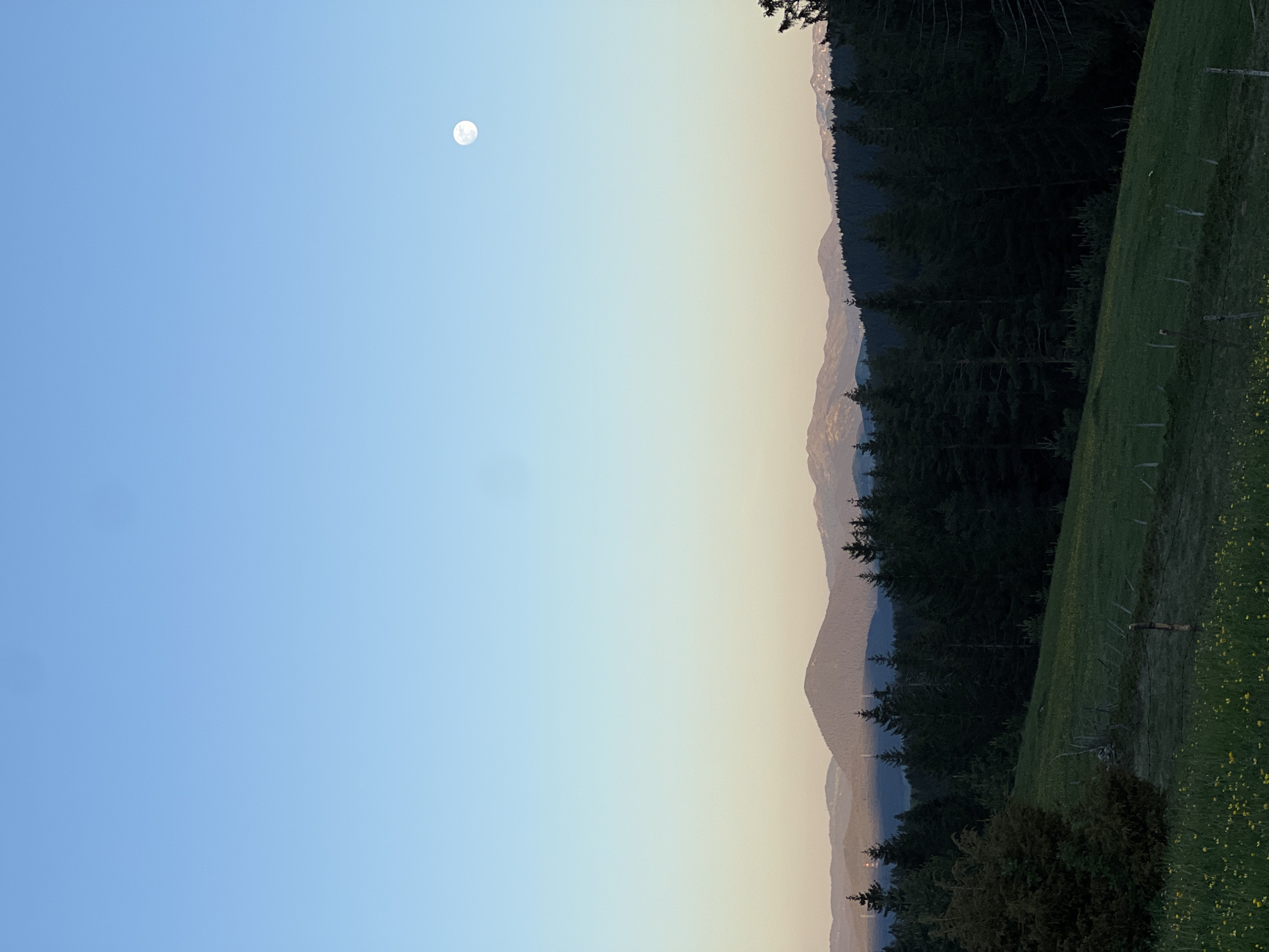 The image shows a landscape with a light blue sky and the moon visible. The horizon line features a range of mountains transitioning into a dense forest. A grassy field with wildflowers is visible on the right side of the image. The scene appears to be rural. I do not see any signs of being in the city of Pitomine.