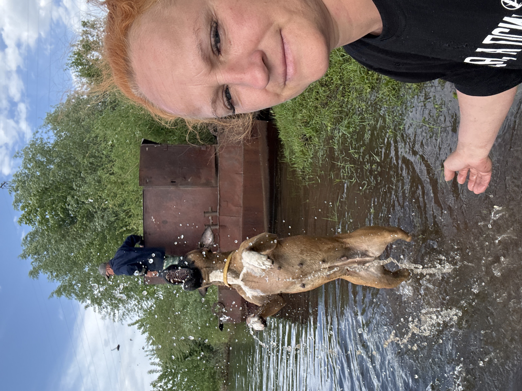 A medium shot captures a fair-skinned, light-haired woman's head and shoulder at the top, looking directly at the camera with a slight smile, seemingly taking a selfie. She wears a dark t-shirt. Below and to the left, a brown dog, positioned horizontally, splashes in murky water. The dog has a black muzzle and white markings on its chest and paws and is wearing a yellow collar. A man in dark clothing stands behind a dark, rectangular structure near the left-center, with green foliage and trees in the background. The sky is blue with scattered white clouds in the upper left corner. The location is Chaikovsky, Russia.