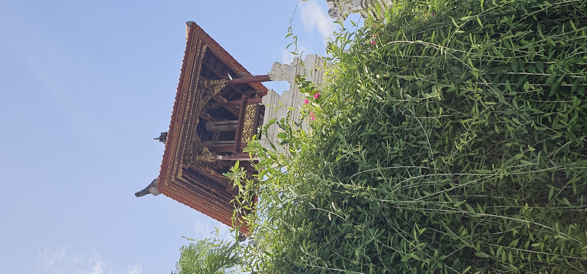The image captures a scene in Kuta Selatan, Indonesia, featuring a traditional Balinese structure partially obscured by dense green foliage. The structure exhibits a characteristic tiered roof with ornate reddish-brown carvings and golden accents. Some white columns are also visible near the rooftop. The foreground is dominated by a lush green plant with small leaves and slender stems, with a few pink flowers visible. The background showcases a clear blue sky, suggesting a bright, sunny day.