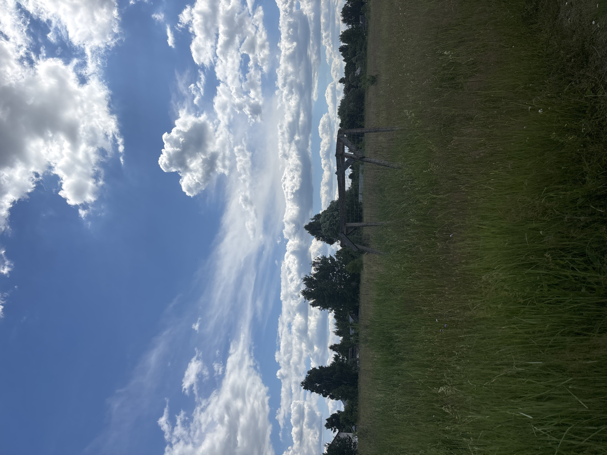 The image depicts a rural landscape in the Meshchera region of Russia under a bright, partly cloudy sky. The scene is divided horizontally, with the upper portion dominated by a vibrant blue sky filled with scattered cumulus clouds and wispy cirrus formations. The clouds are dramatically lit by the sun, creating a dynamic contrast of light and shadow.
The lower portion of the image features a grassy field with tall, green vegetation that appears somewhat wild and untended, with small white and purple wildflowers interspersed throughout. A weathered wooden fence, constructed with rough-hewn posts and wire mesh, runs diagonally across the middle ground, suggesting a boundary or enclosure. Beyond the fence, a line of dark green trees forms a dense treeline that stretches across the horizon. In the far distance, through the trees, hints of structures, possibly houses or farm buildings, can be discerned.
The overall impression is one of a serene, natural setting on a sunny day, likely during the daytime given the brightness and cloud formations. There are no people visible in the image. The scene conveys a sense of peace and rustic simplicity. No visible text is present in the image.